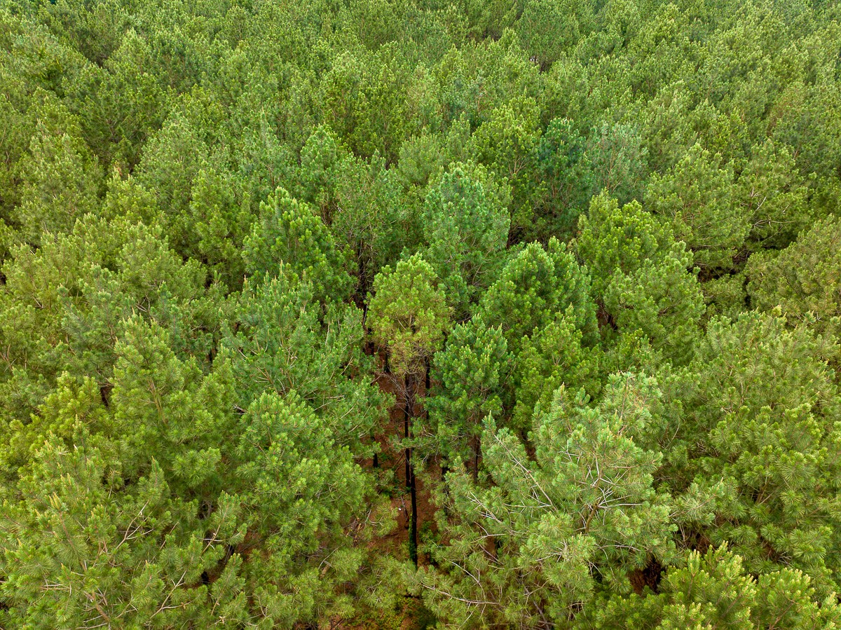 21135 Fm 1252 Property Photo 6