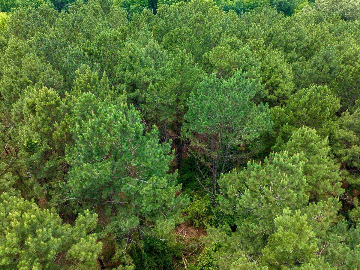 21135 Fm 1252 Property Photo 7