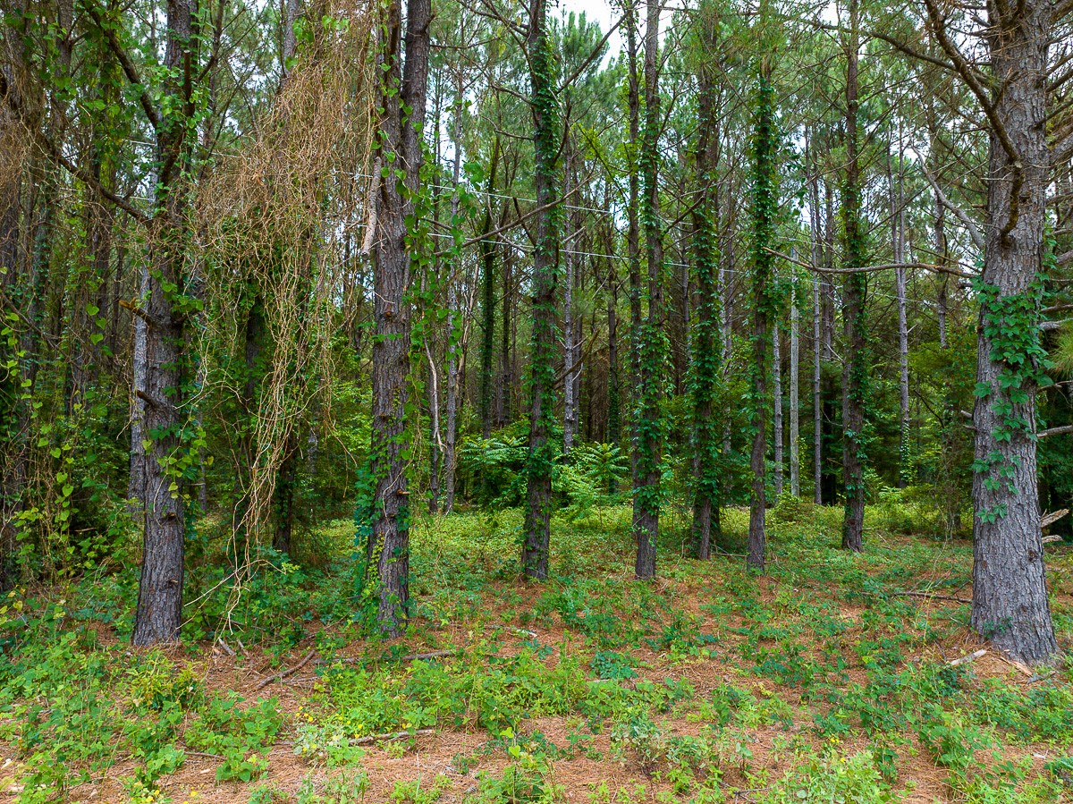 21135 Fm 1252 Property Photo 11