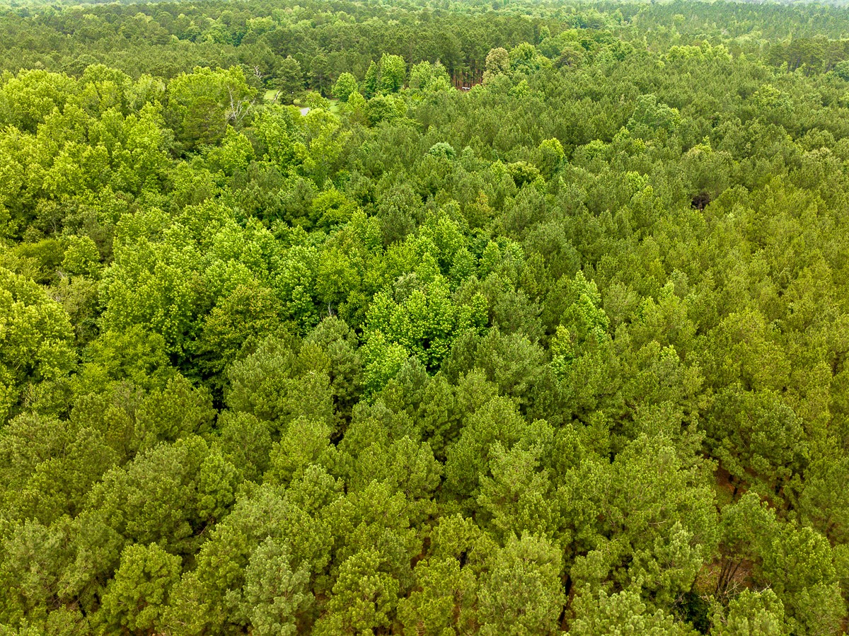 21135 Fm 1252 Property Photo 17