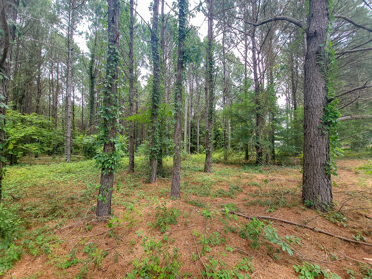 21135 Fm 1252 Property Photo 20