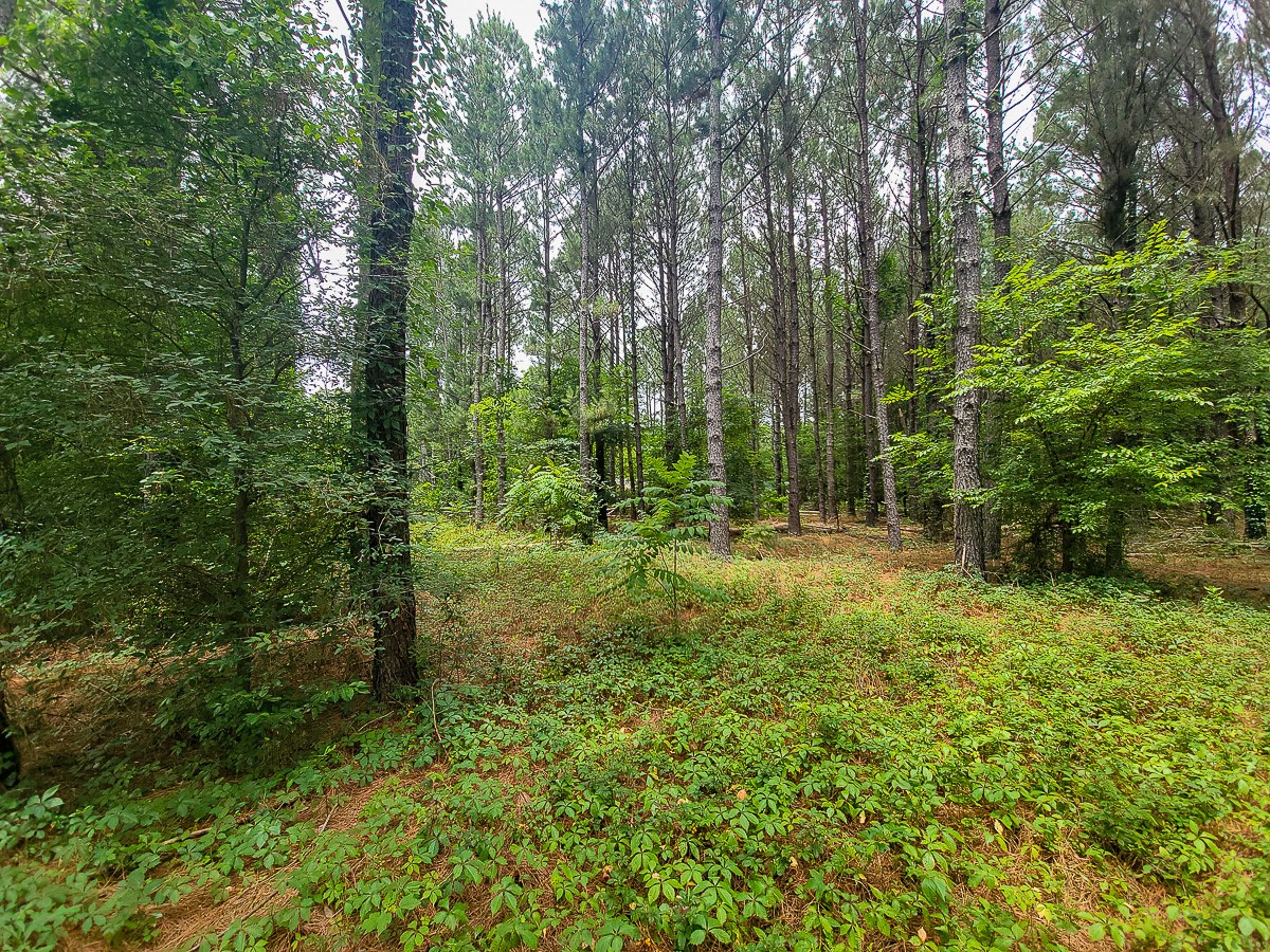 21135 Fm 1252 Property Photo 22