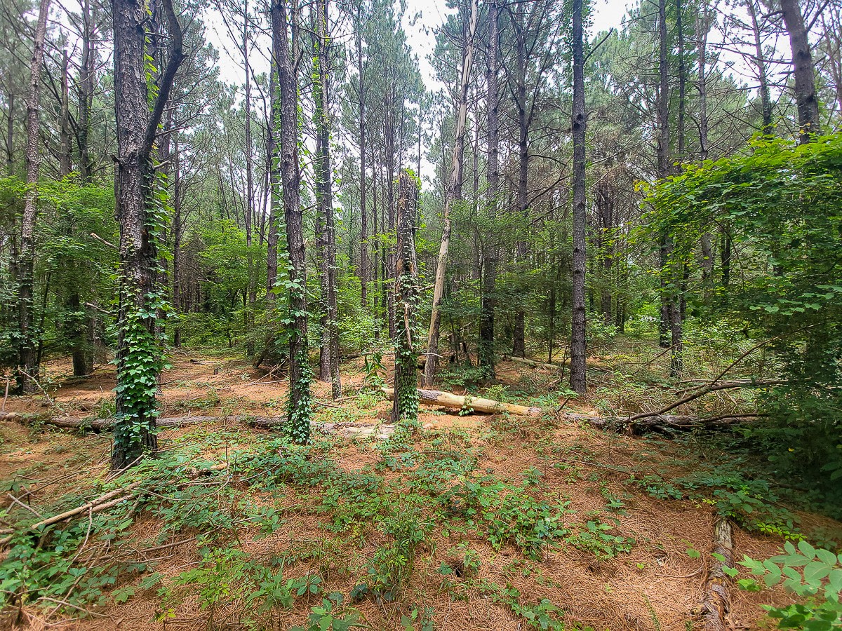 21135 Fm 1252 Property Photo 23