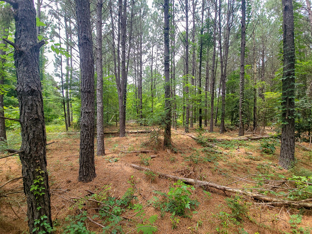 21135 Fm 1252 Property Photo 24
