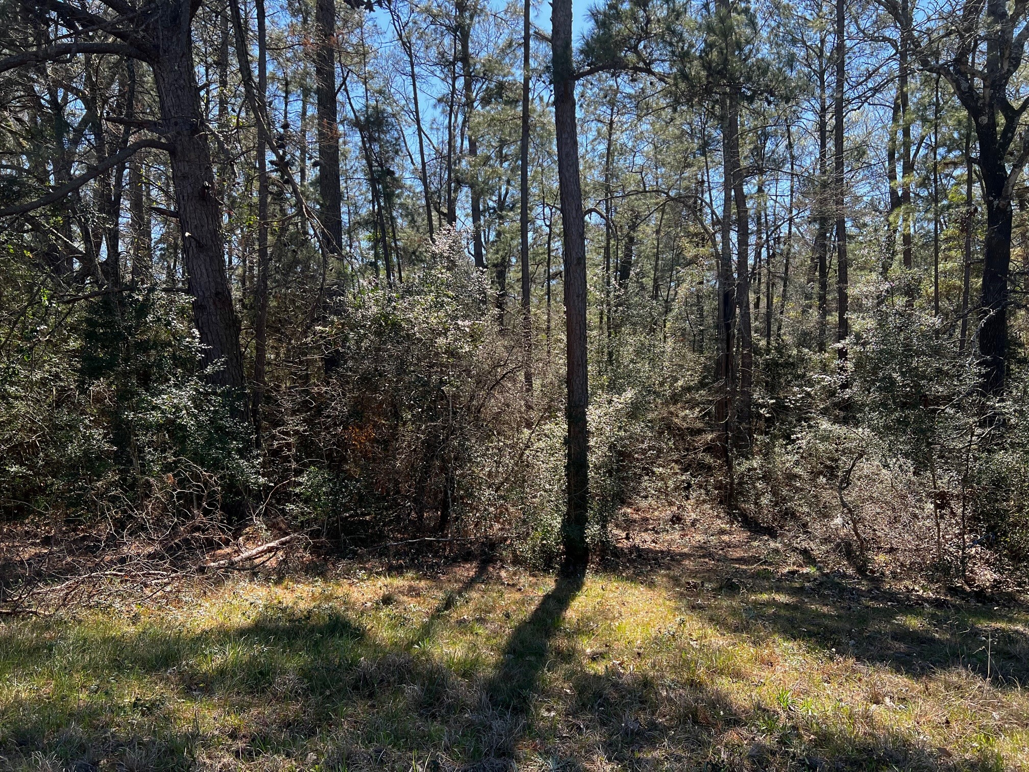 2404 Tx-75 Road Property Photo 5