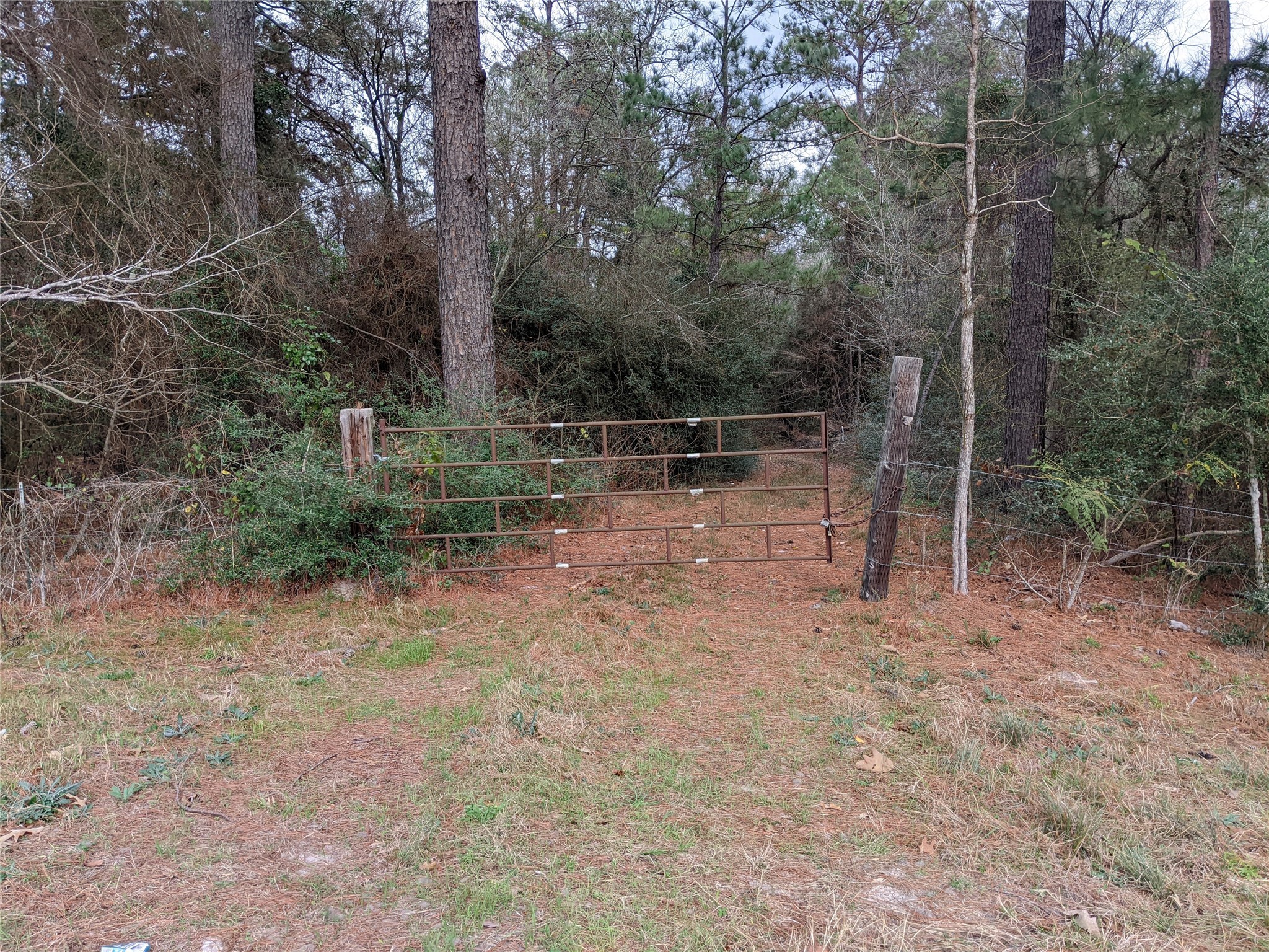 2404 Tx-75 Road Property Photo 7