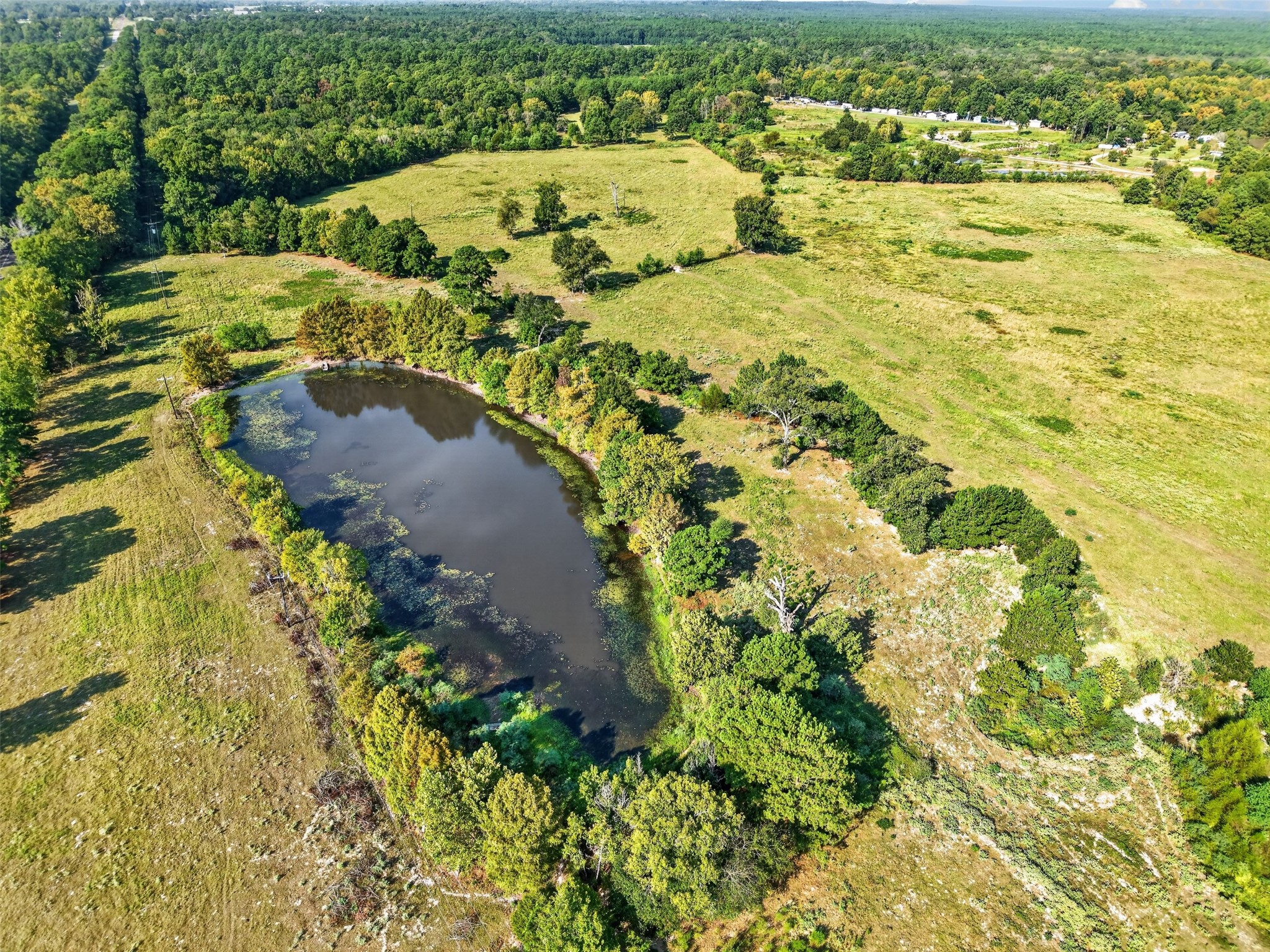 Tbd S State Highway 94 Property Photo 4