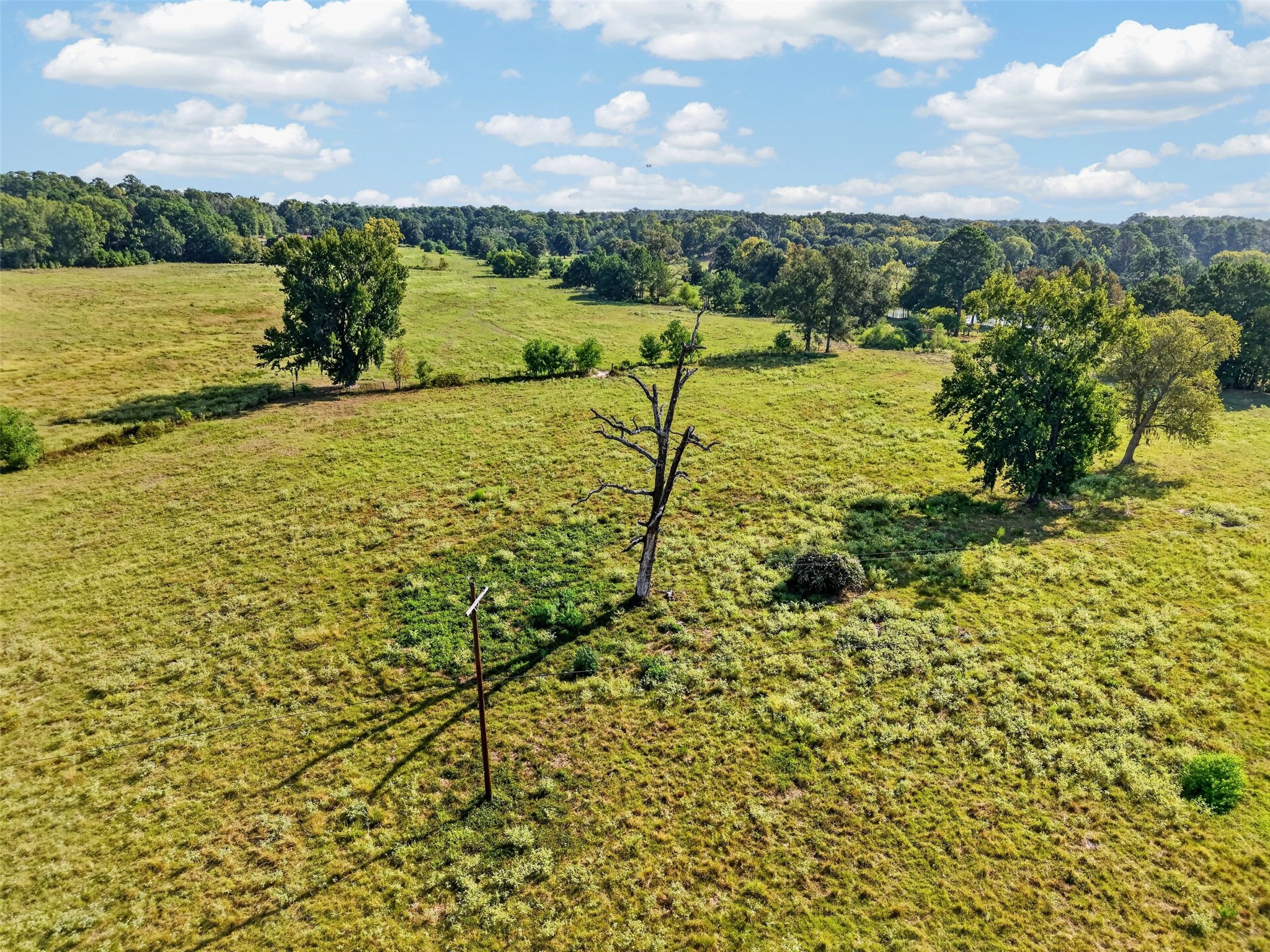 Tbd S State Highway 94 Property Photo 15