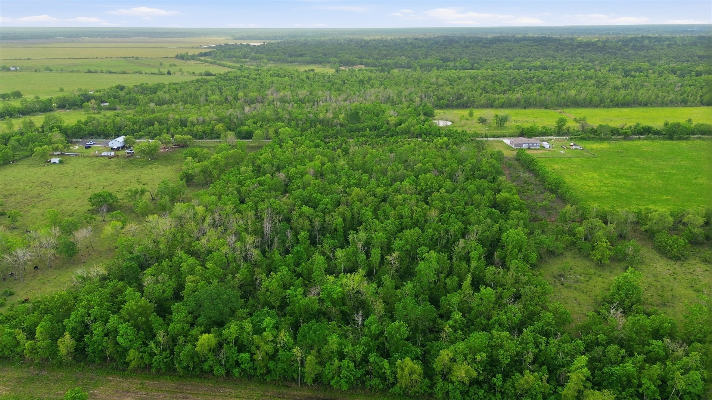 Tbd County Road 6042 Property Photo 6