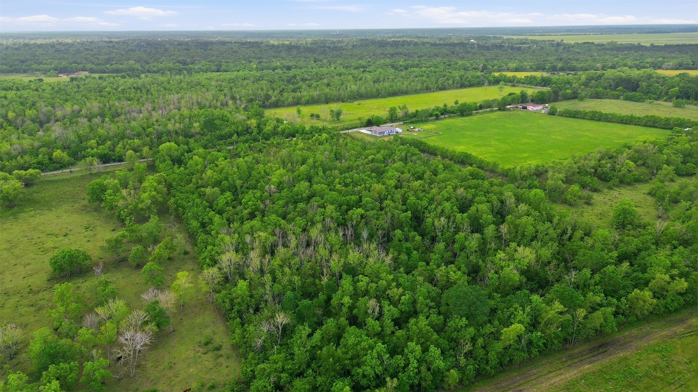 Tbd County Road 6042 Property Photo 7