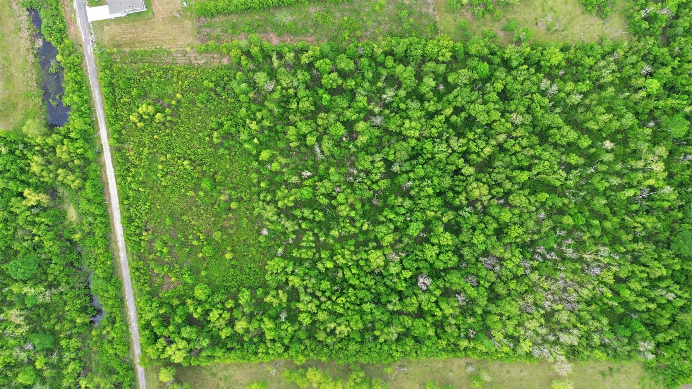 Tbd County Road 6042 Property Photo 11