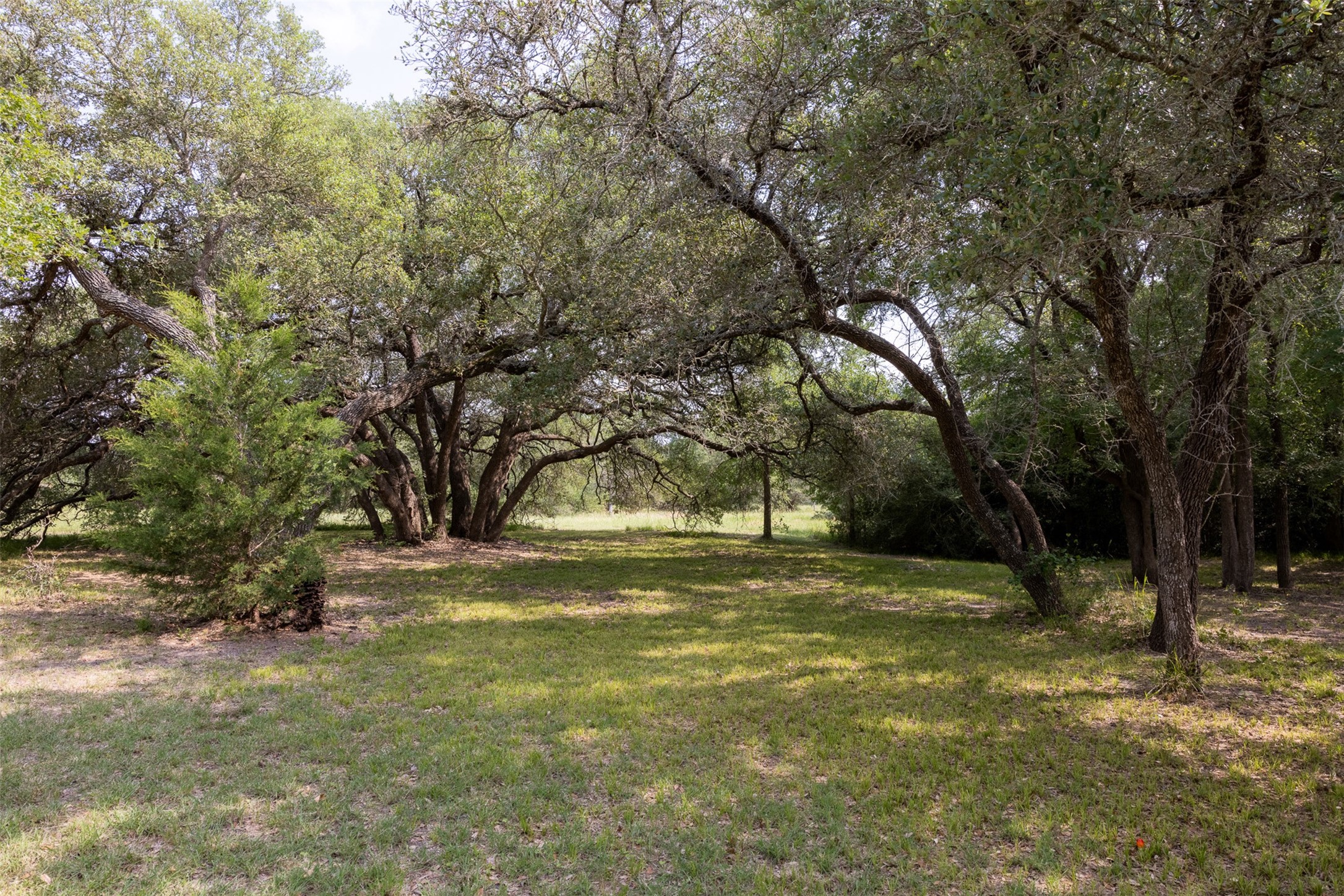 14450 Hartstack Road Property Photo 23