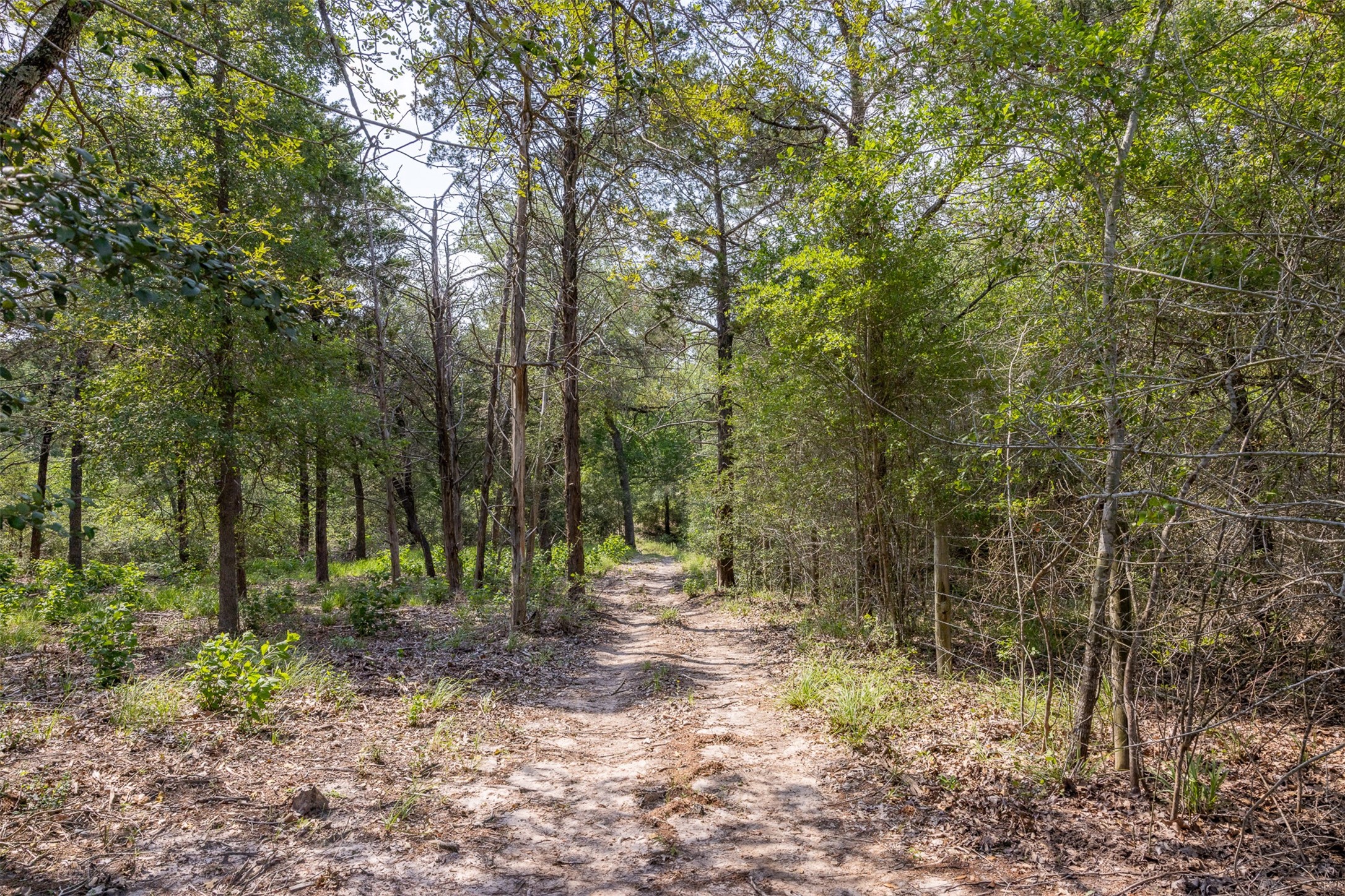 14450 Hartstack Road Property Photo 25