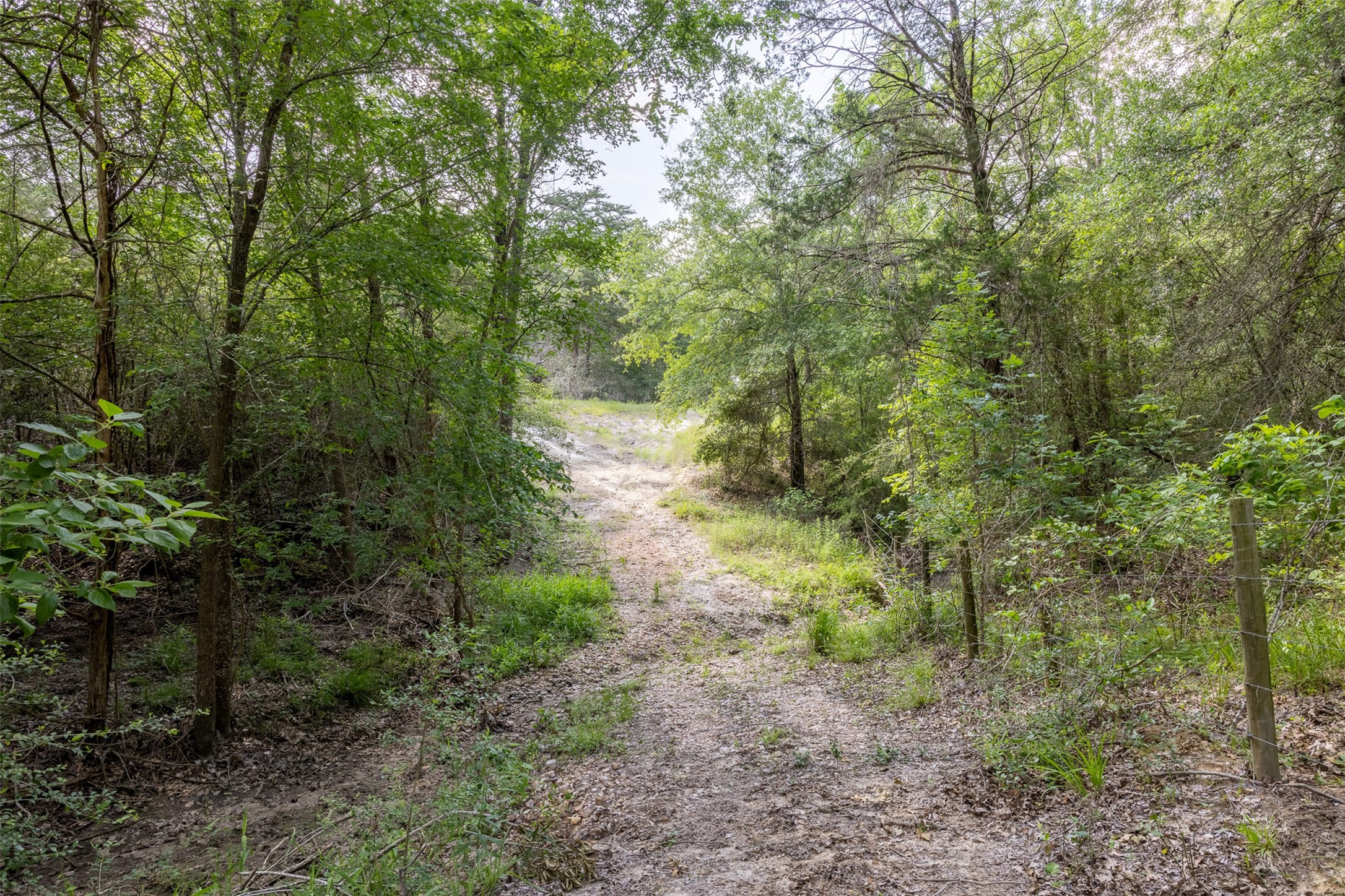 14450 Hartstack Road Property Photo 26
