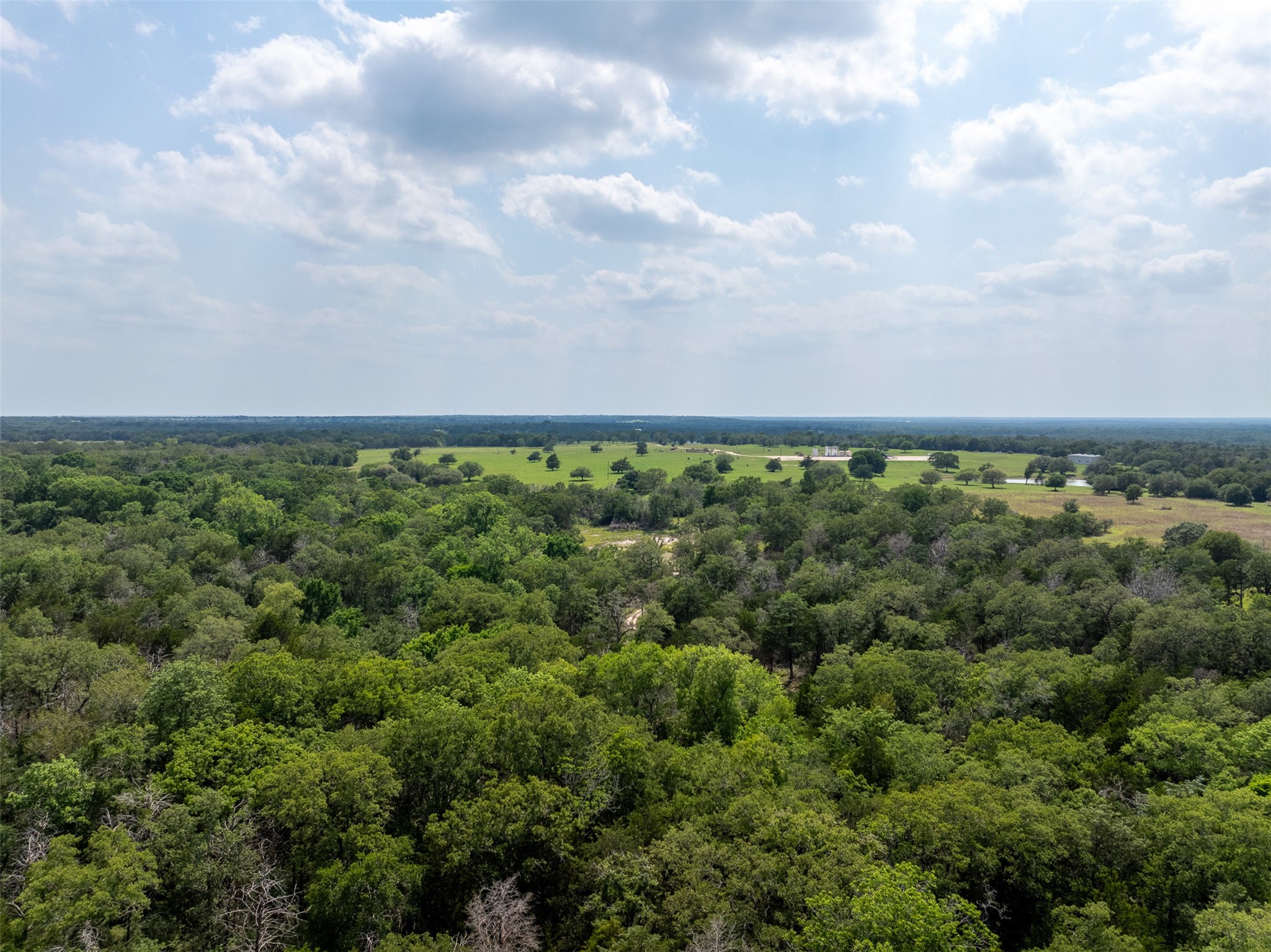 14450 Hartstack Road Property Photo 27