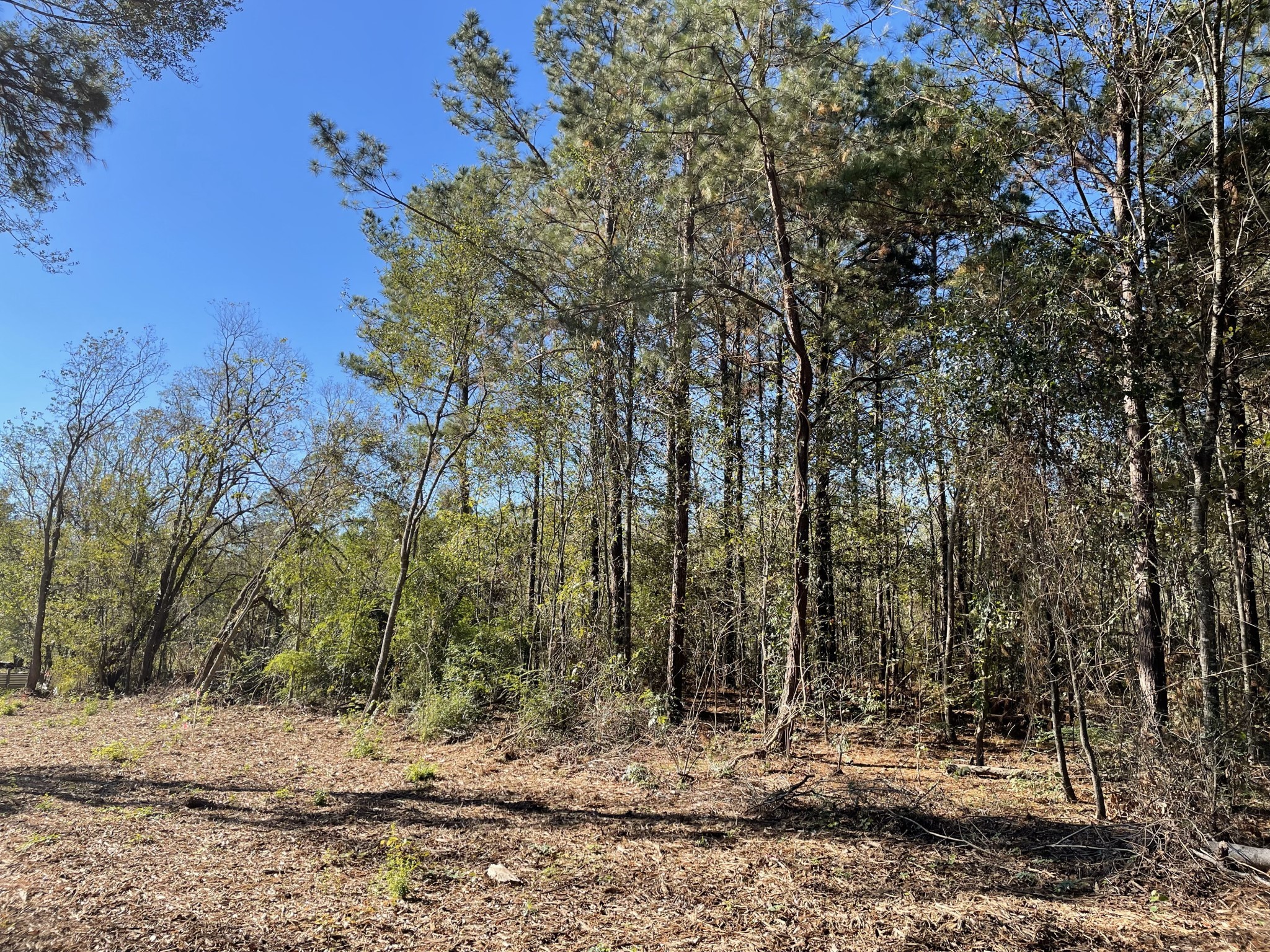 20828 Oakshade Drive Property Photo 2