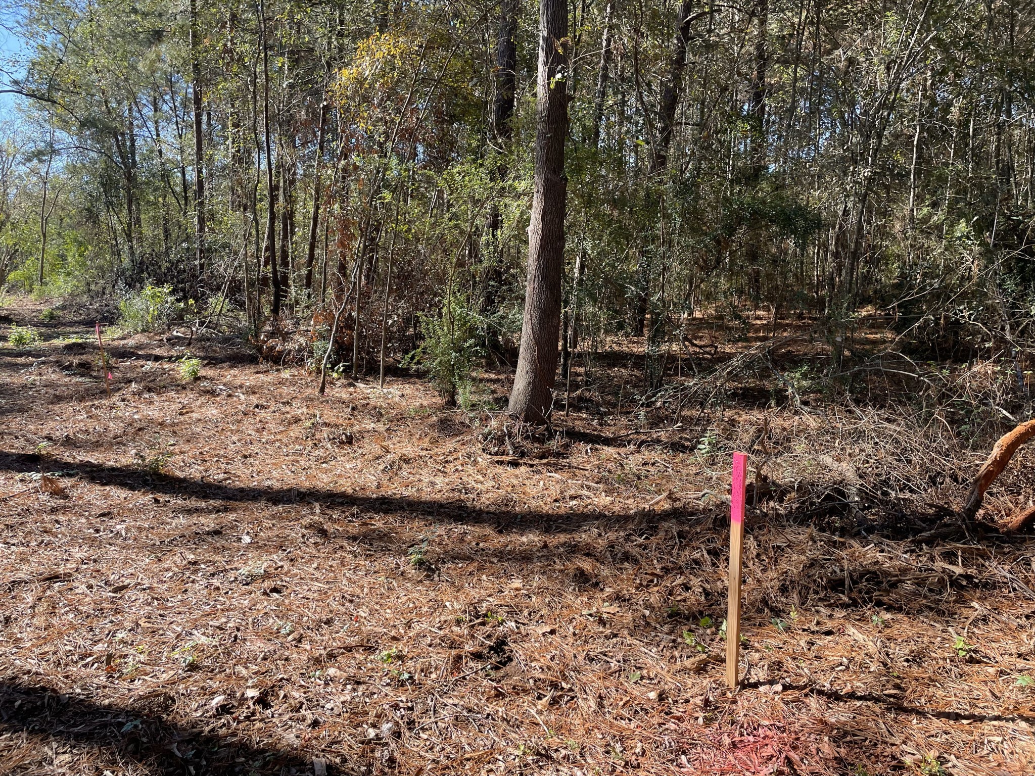 20828 Oakshade Drive Property Photo 6