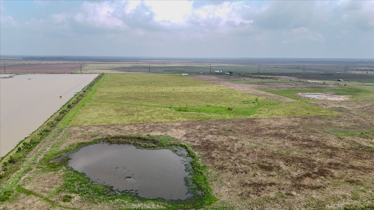 000 Tr16 Wilber Property Photo 3