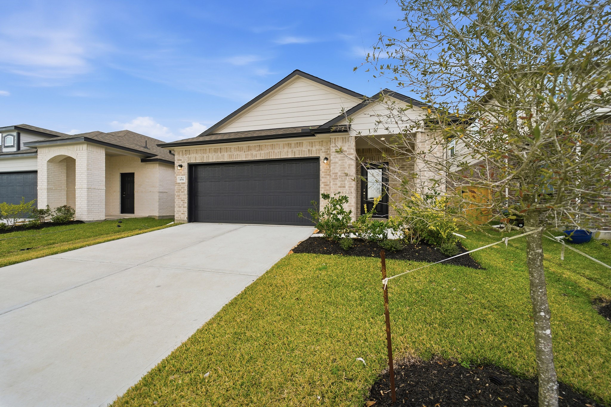 3191 Savannah Rose Drive Property Photo 2