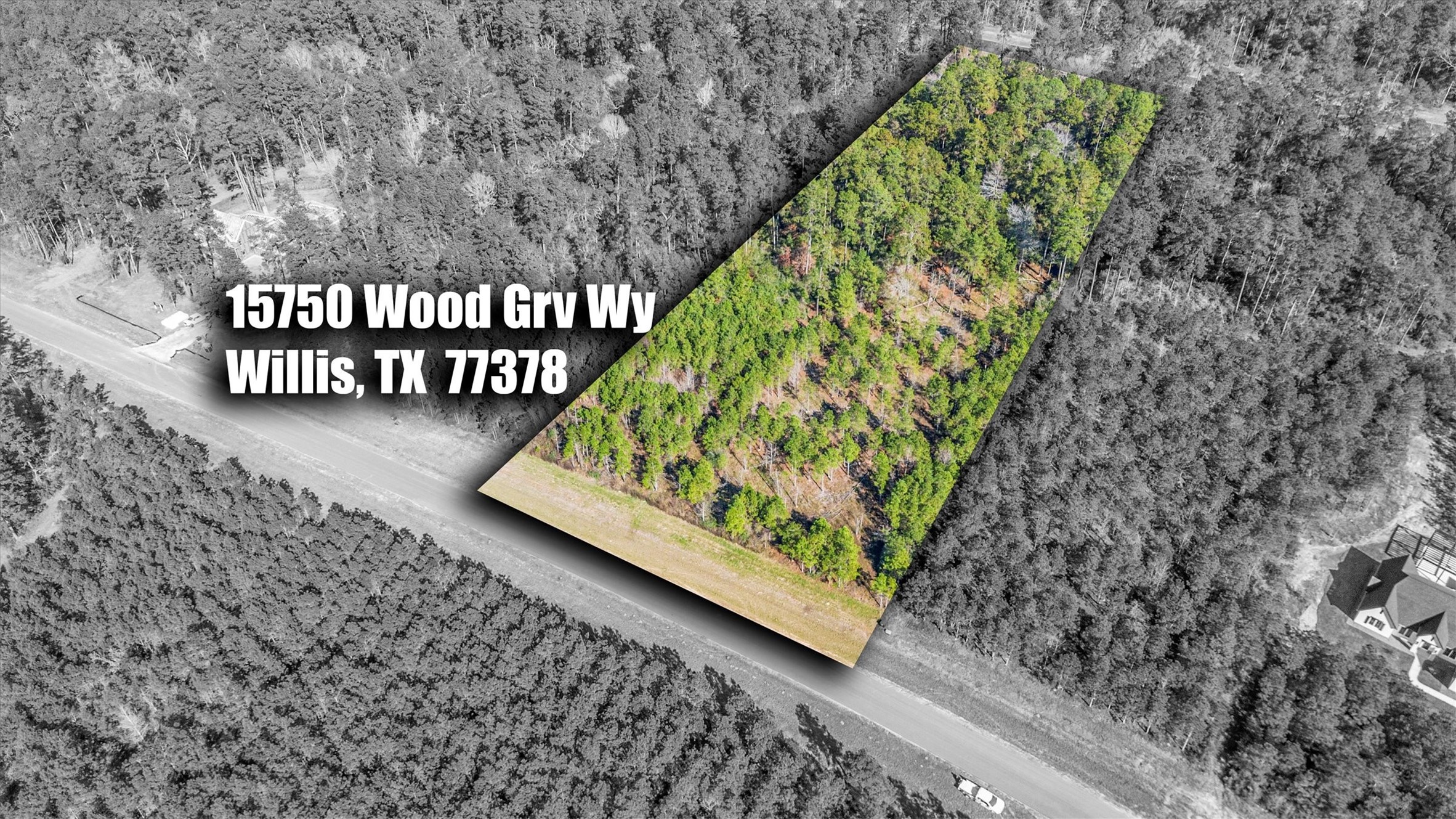 15750 Wood Grove Way Property Photo 4
