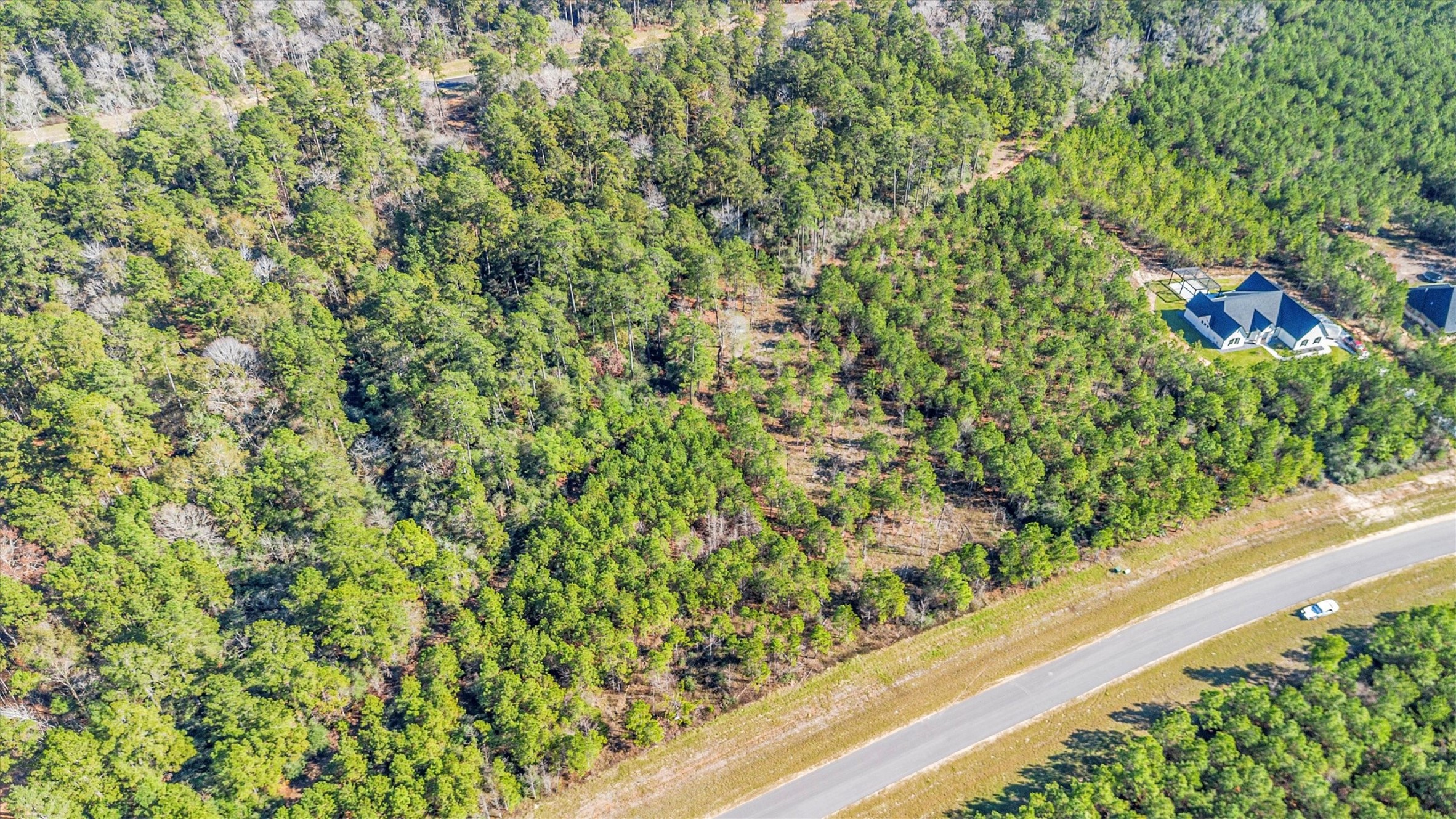 15750 Wood Grove Way Property Photo 8
