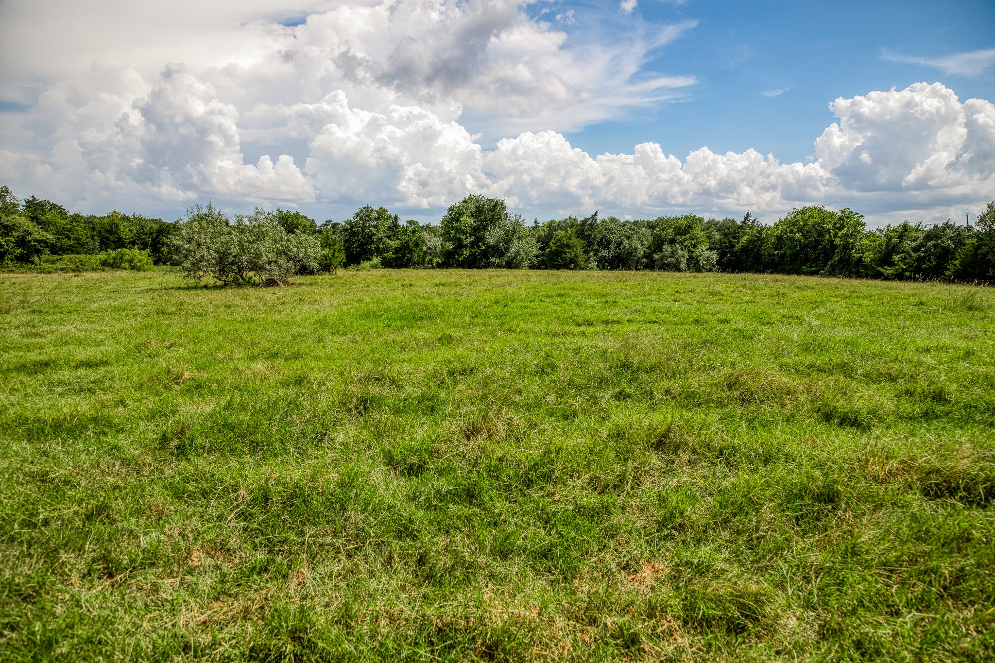 3420 Rohde Road Property Photo 2