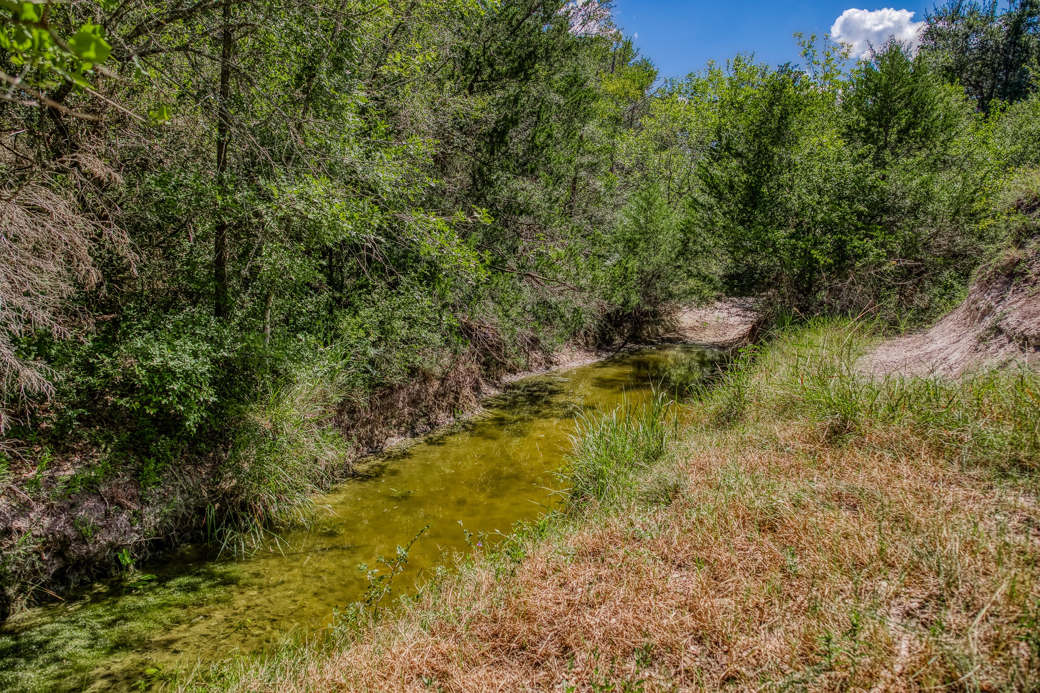 3420 Rohde Road Property Photo 3