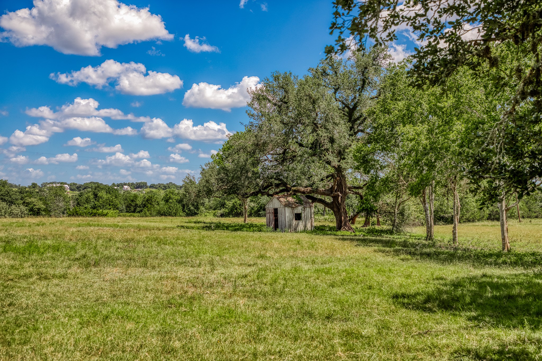 3420 Rohde Road Property Photo 7