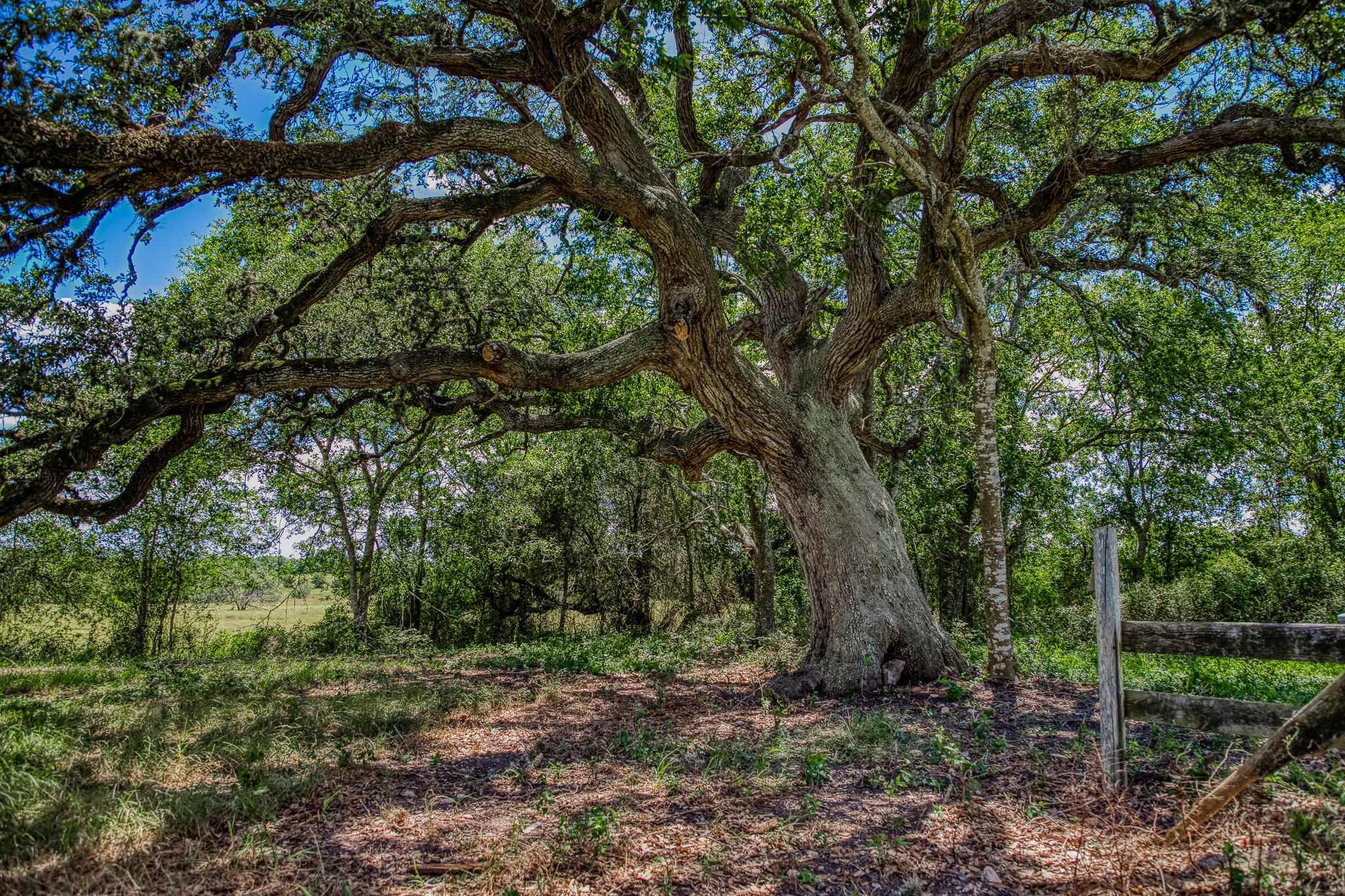 3420 Rohde Road Property Photo 8