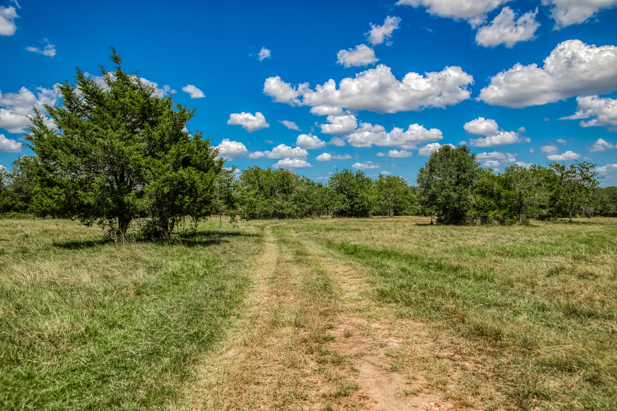 3420 Rohde Road Property Photo 14