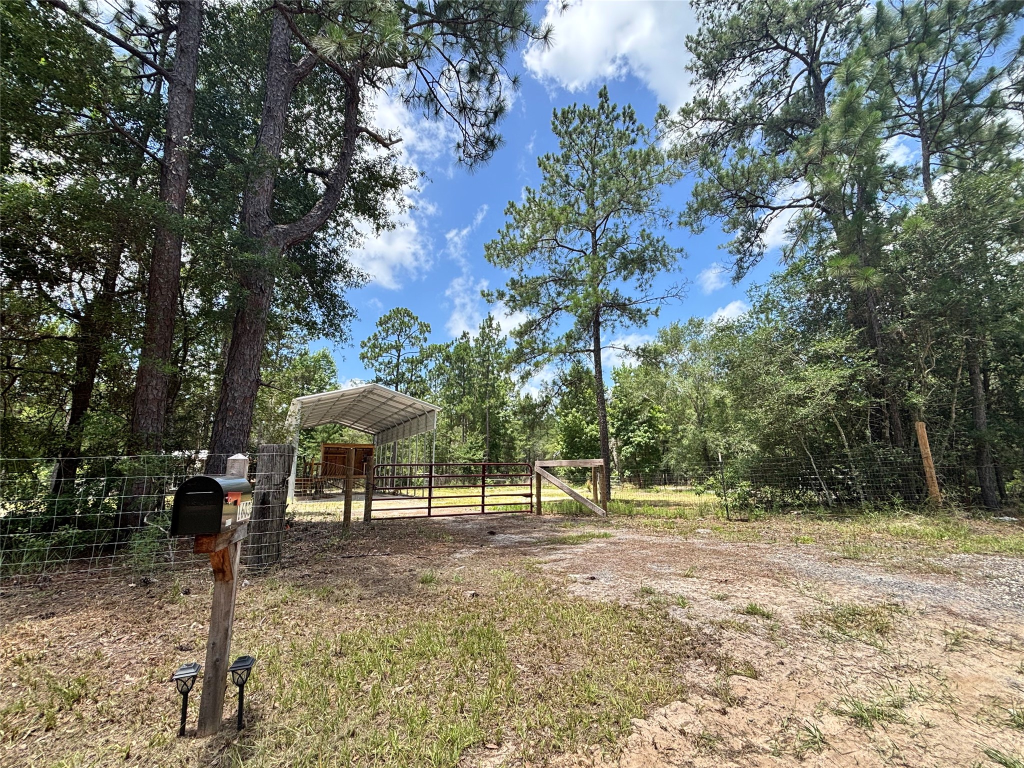 1603 Dammom Lane Property Photo 7