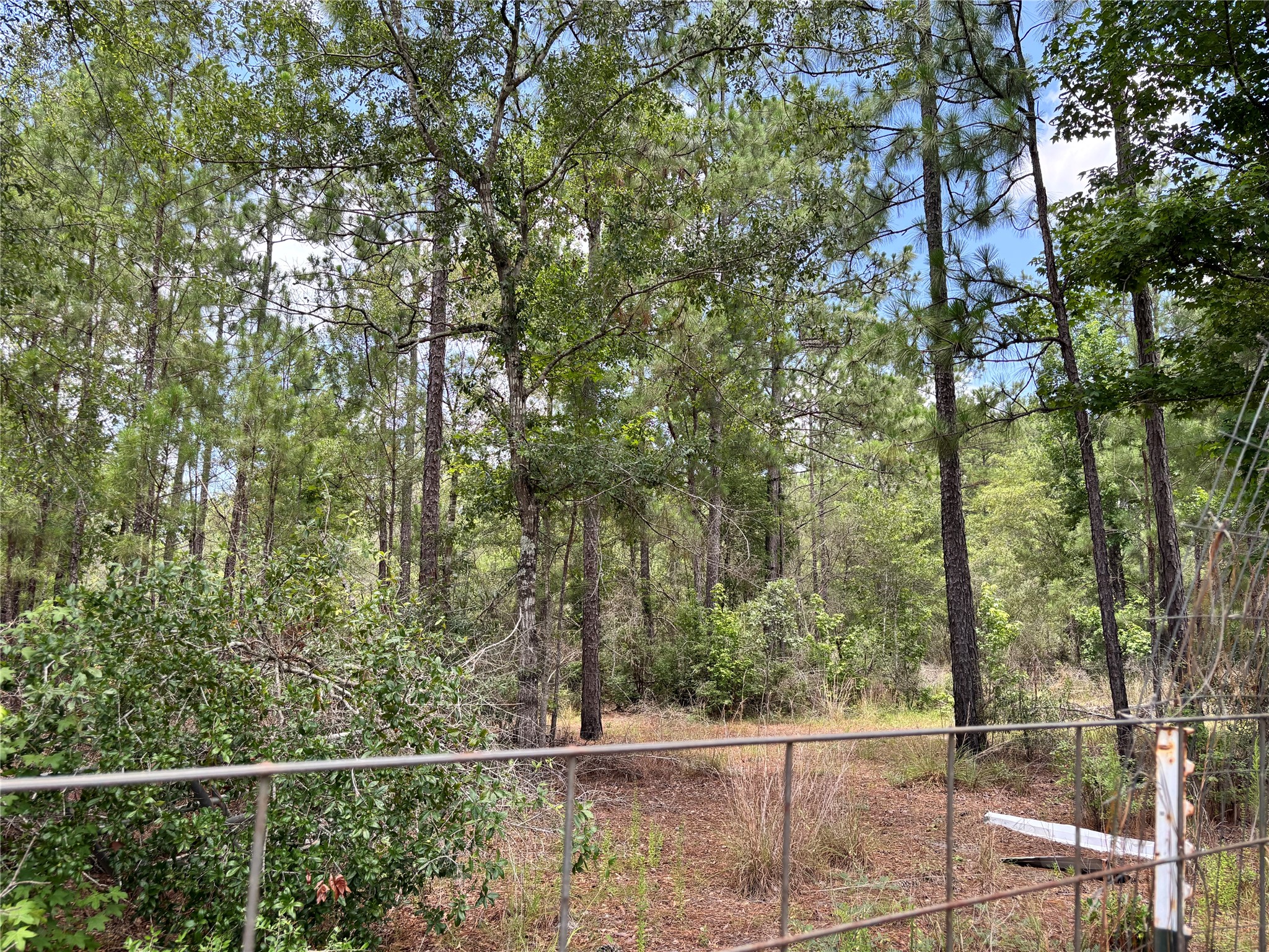 1603 Dammom Lane Property Photo 8