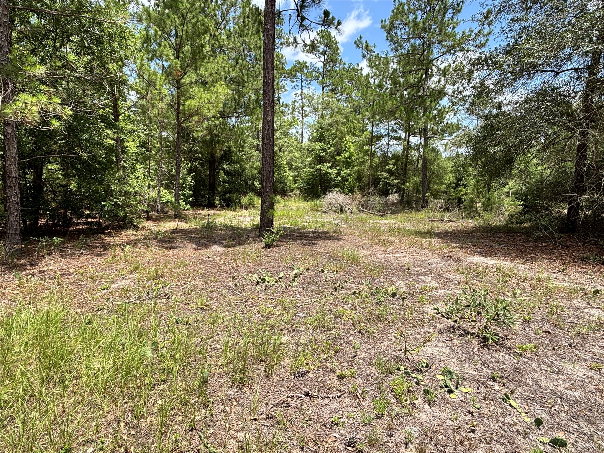 1603 Dammom Lane Property Photo 31
