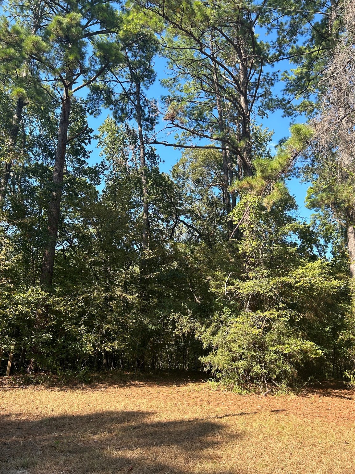 545556 Grand Pine Circle Property Photo 1