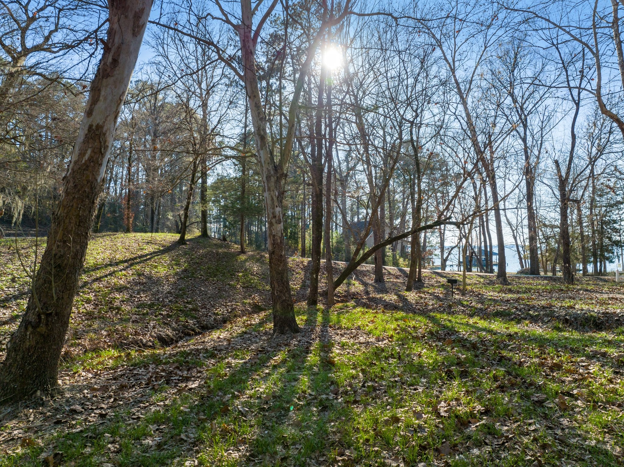 545556 Grand Pine Circle Property Photo 11