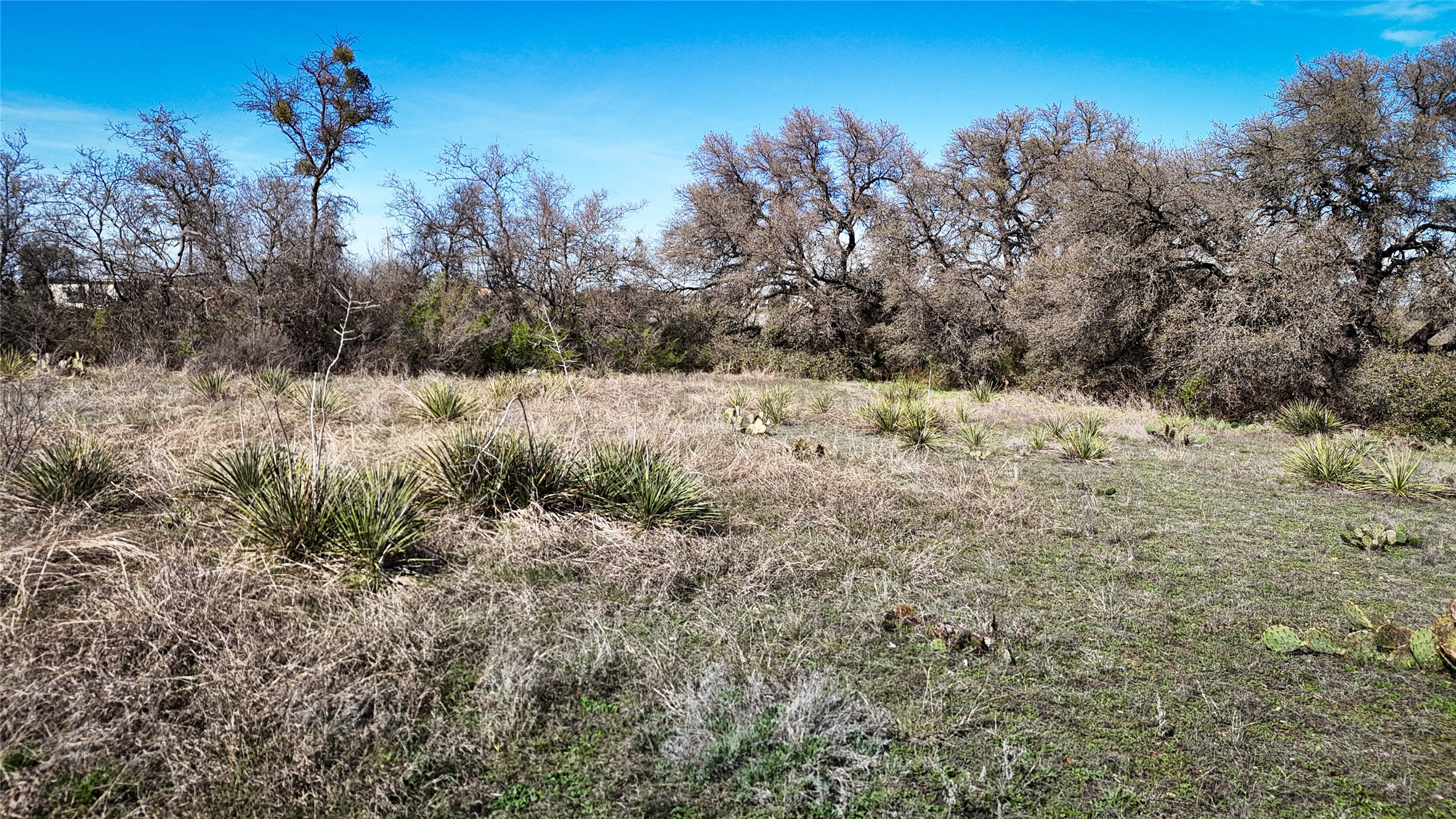 301 S Park Avenue Property Photo 13