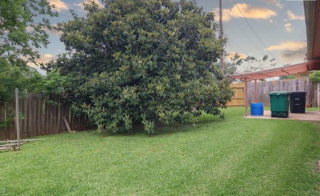 10802 Sashay Drive Property Photo 14