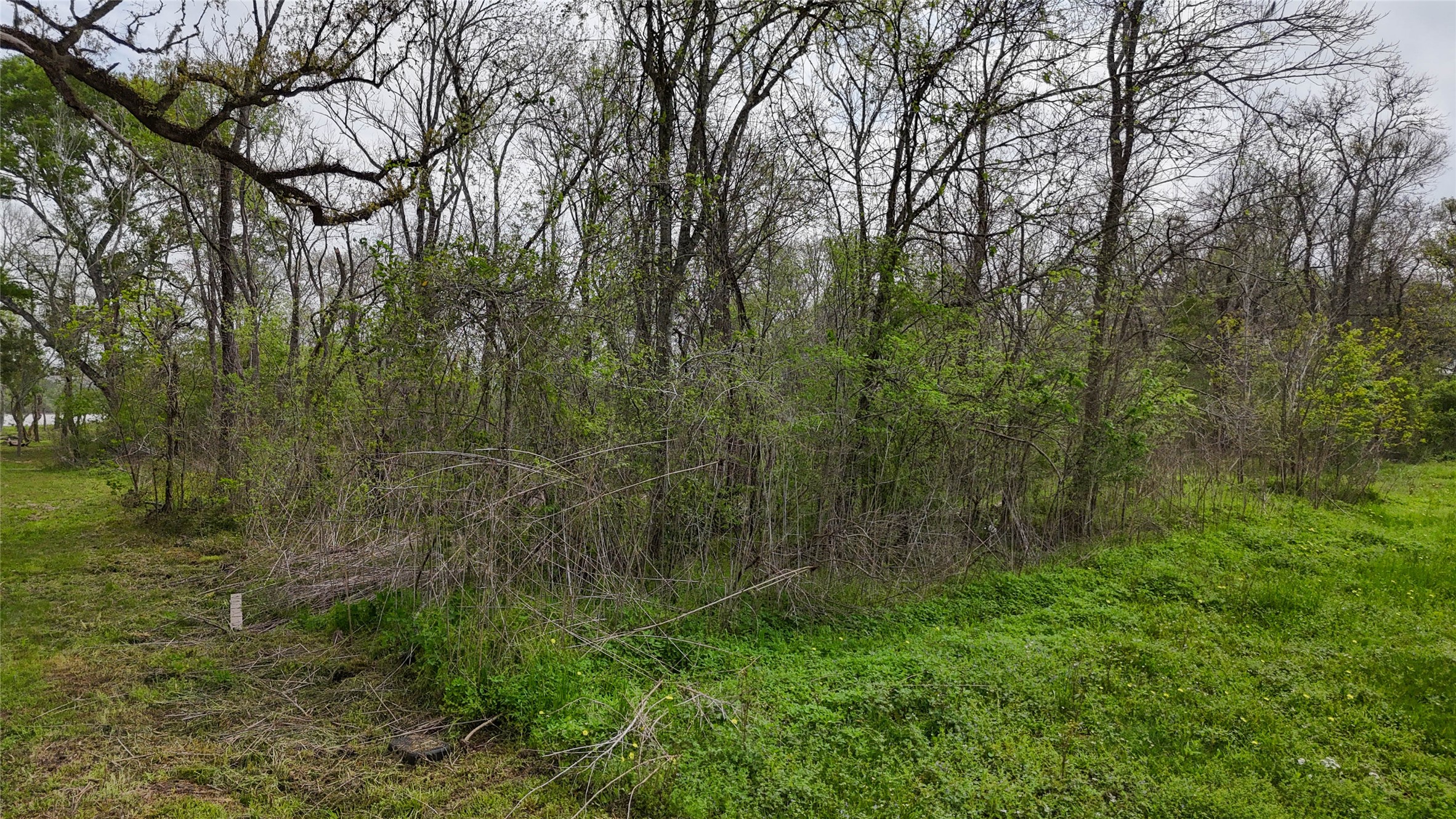 21502 Chenango Lake Drive Property Photo 7