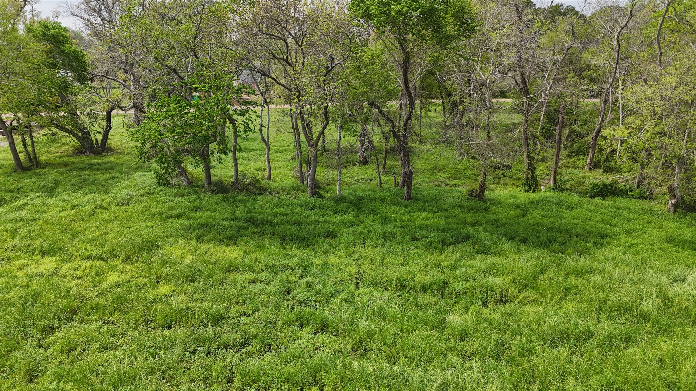 21502 Chenango Lake Drive Property Photo 8