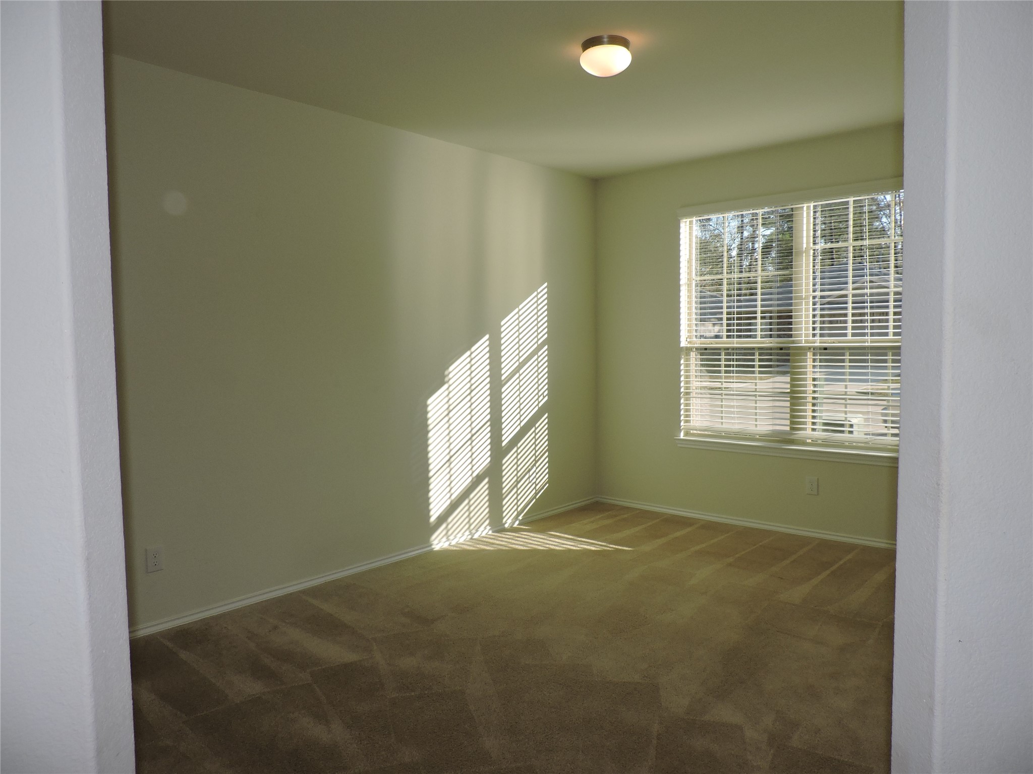 4022 Timber Sapp Drive Property Photo 7