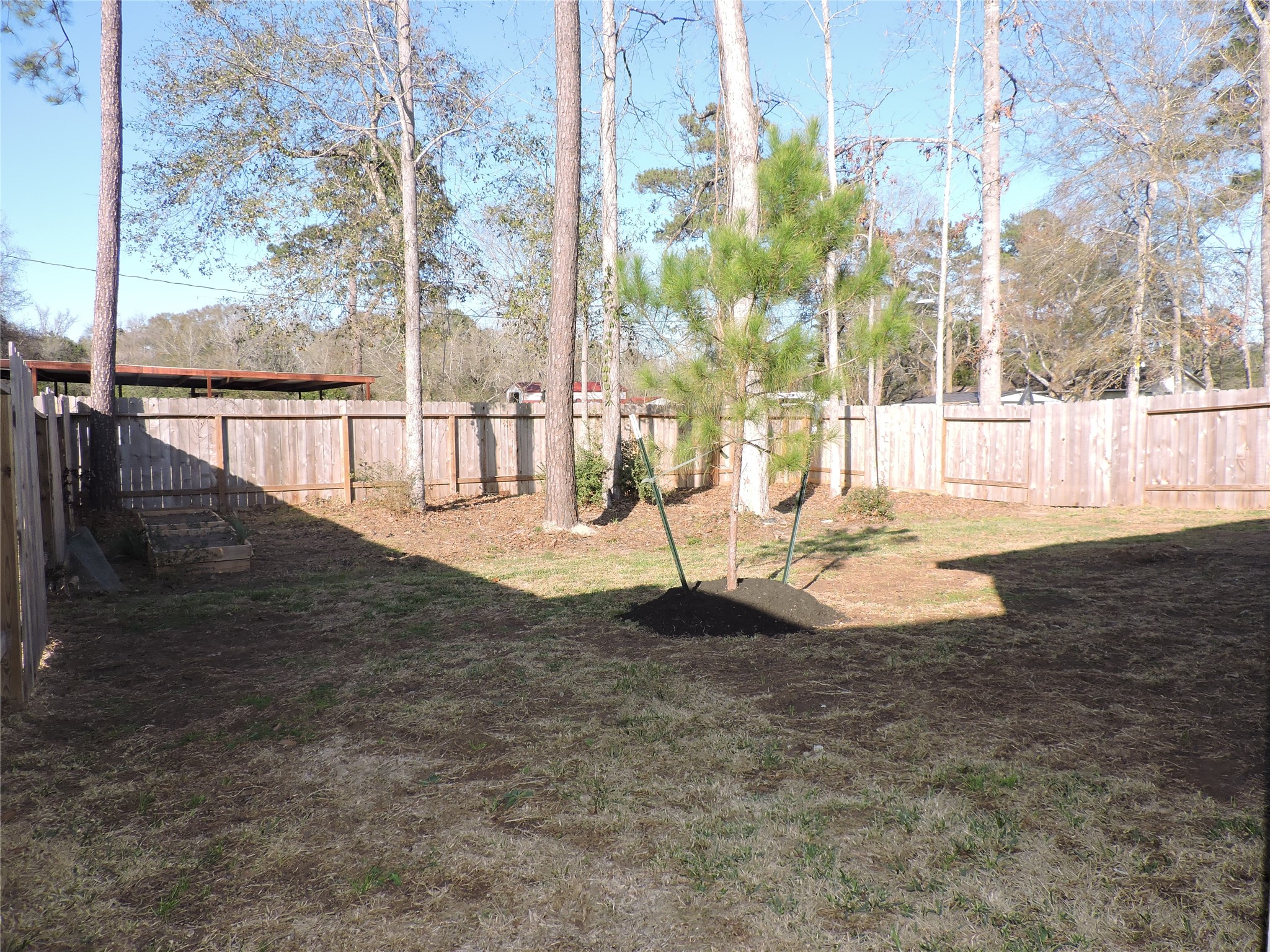 4022 Timber Sapp Drive Property Photo 32