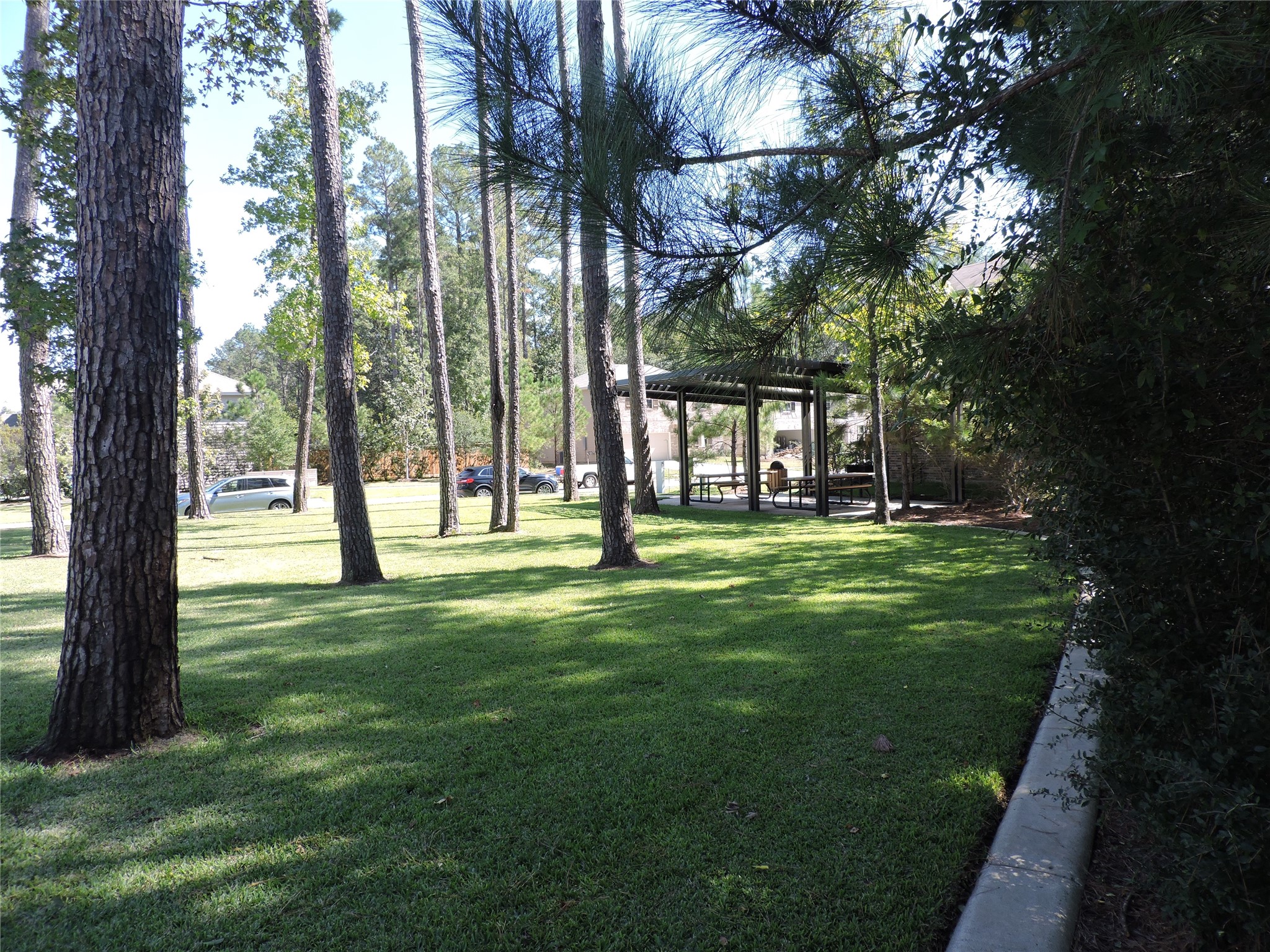 4022 Timber Sapp Drive Property Photo 33