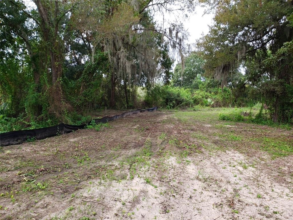 0 Bryant Lot 75 Lane Property Photo 4