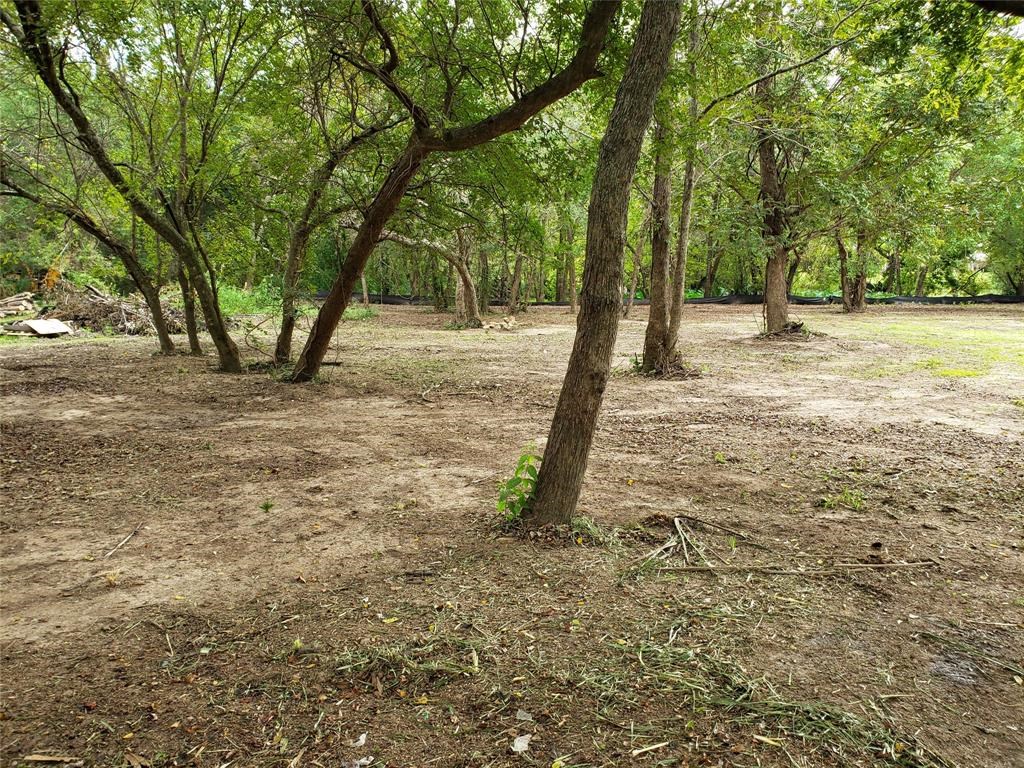 0 Bryant Lot 75 Lane Property Photo 10