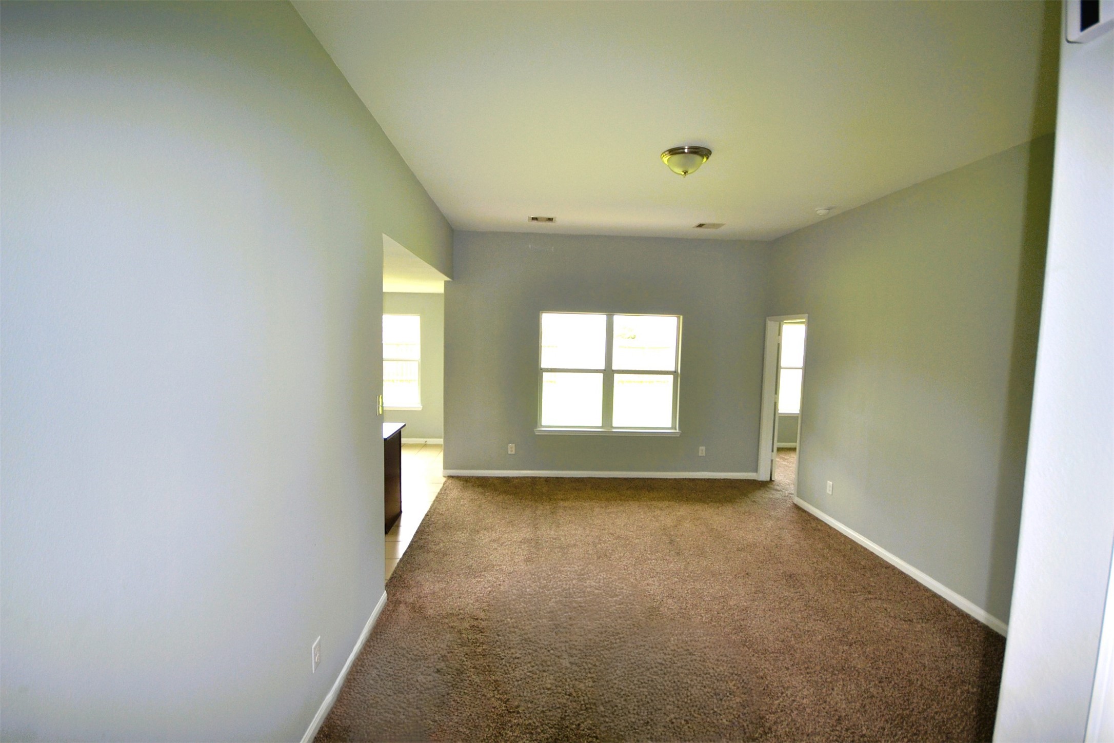 6958 Chessgate Falls Lane Property Photo 9