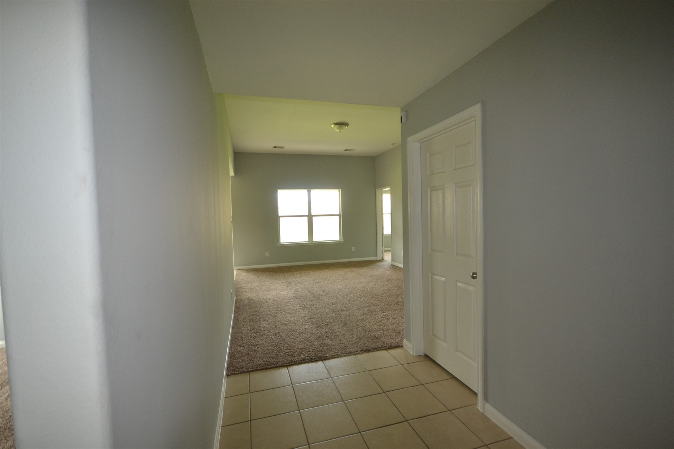 6958 Chessgate Falls Lane Property Photo 10