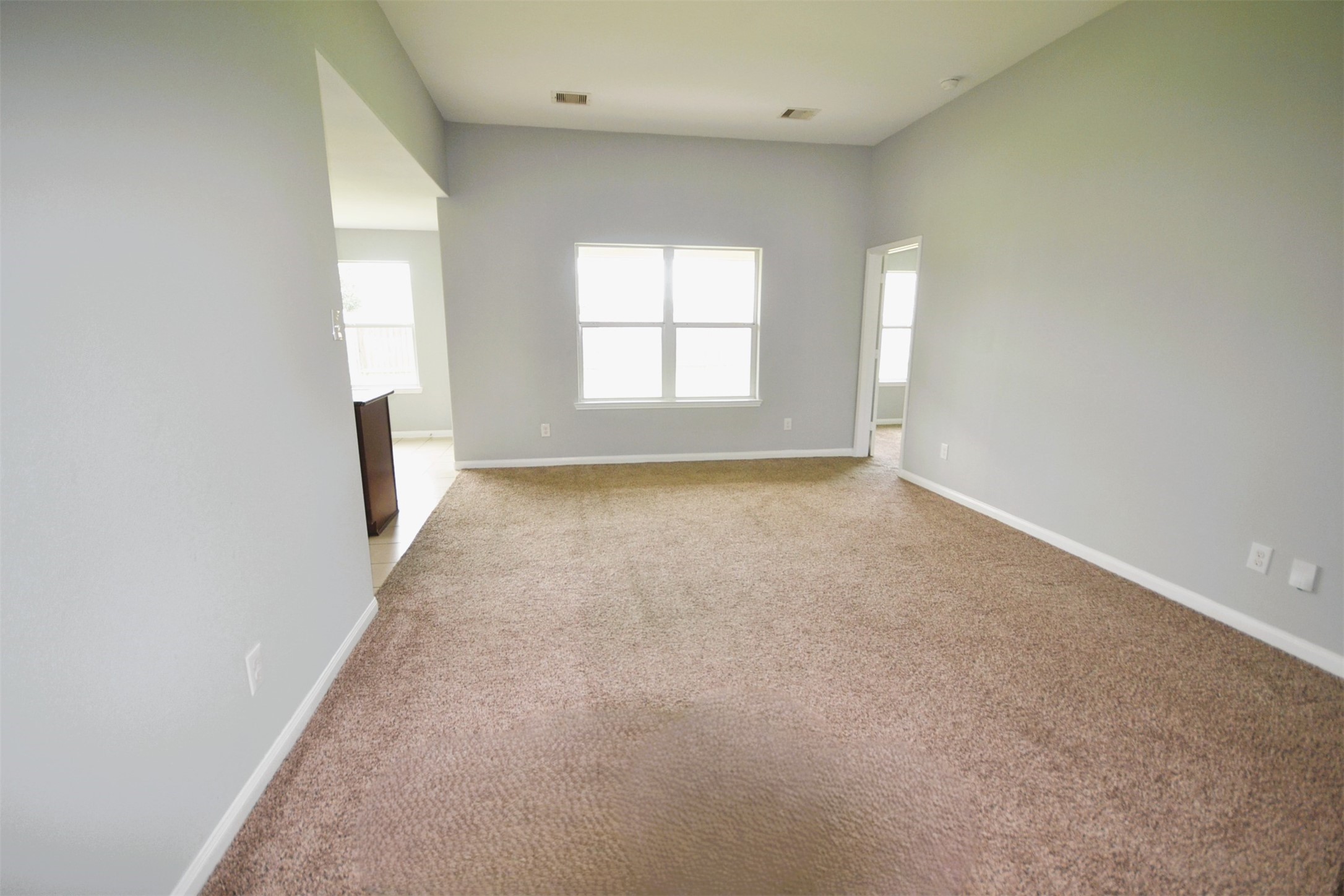 6958 Chessgate Falls Lane Property Photo 11
