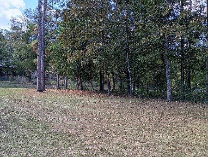 145 W Ivanhoe Drive Property Photo 31