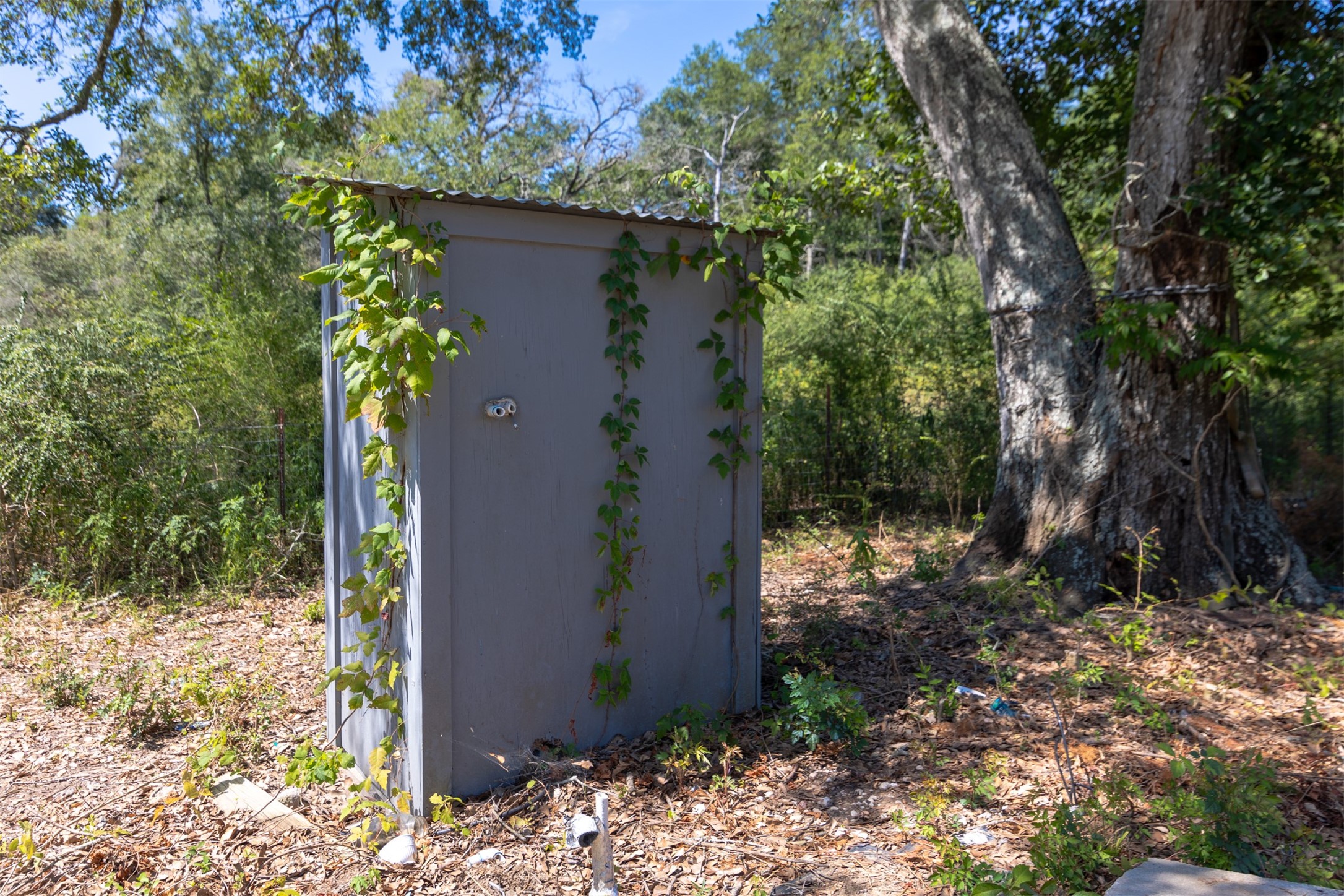 27108 Highway 6 Property Photo 9