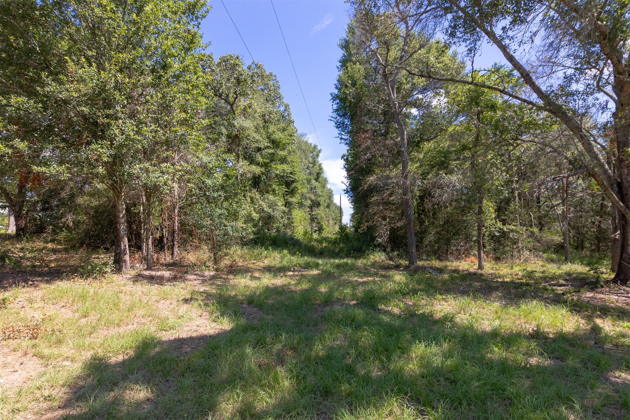 27108 Highway 6 Property Photo 16